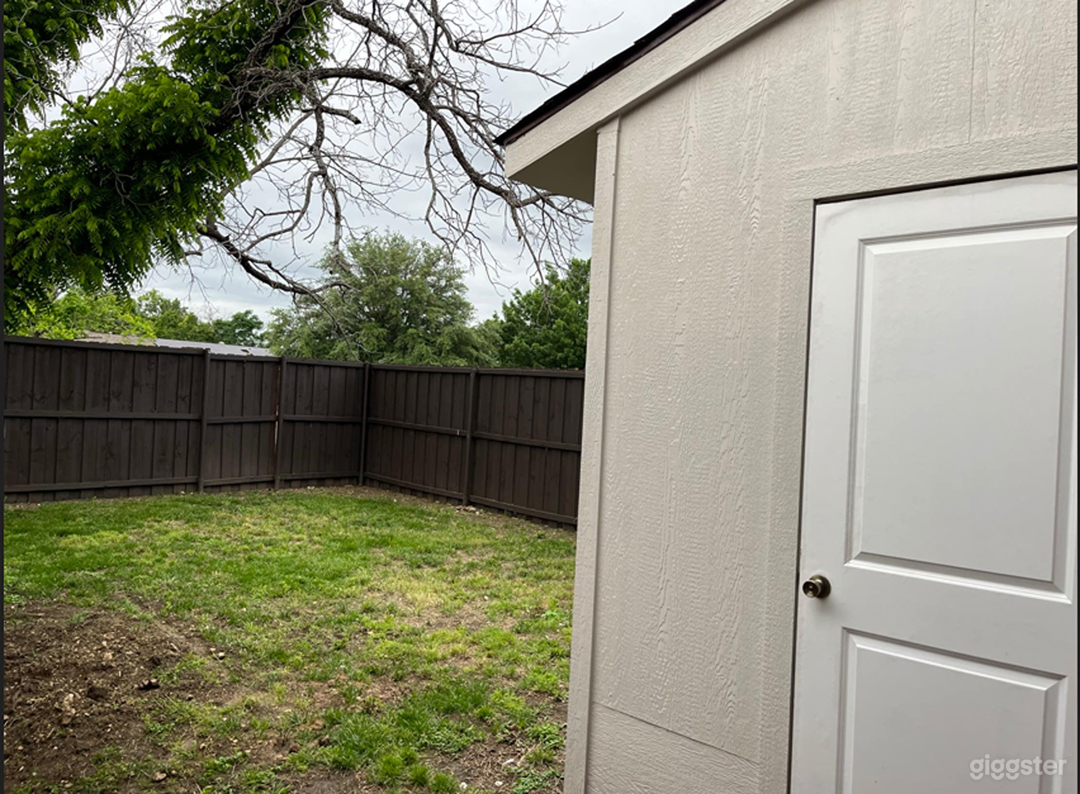 Expansive Yard Photo 3