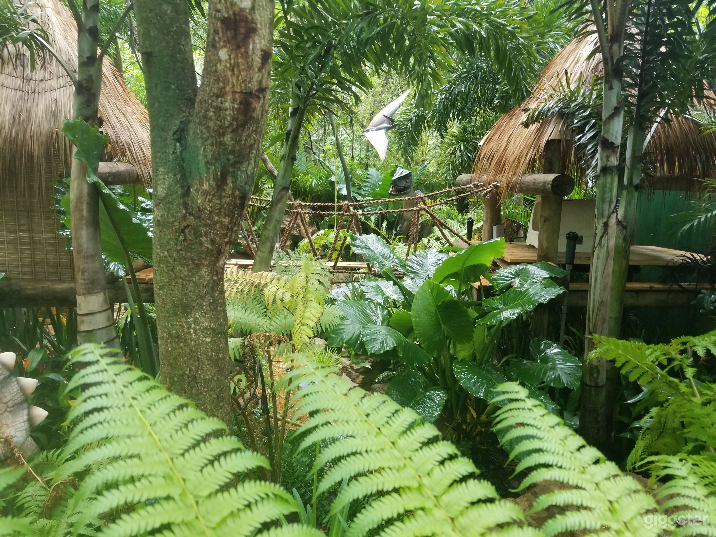 Lush vegetation in Catassic Park are