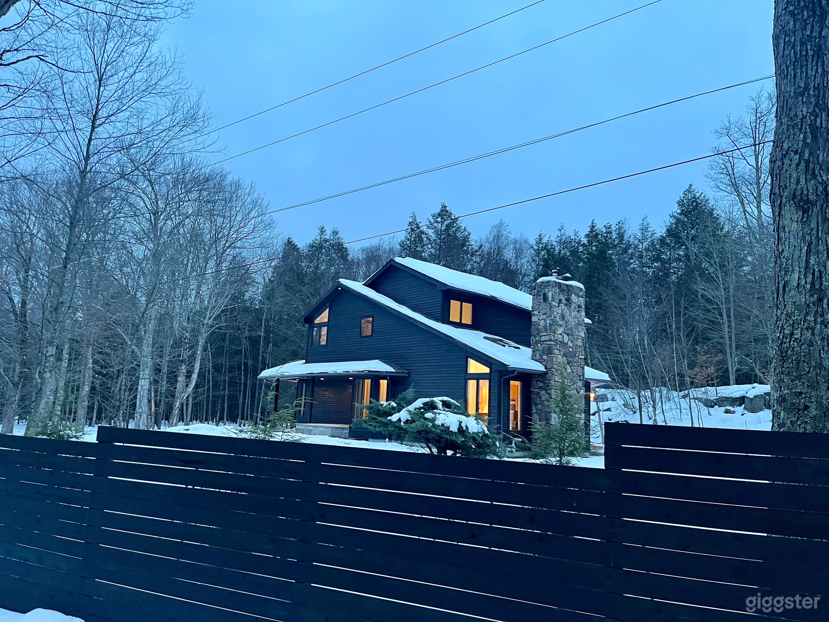 Catskills Contempotrary on the edge of a mature forest Photo 2