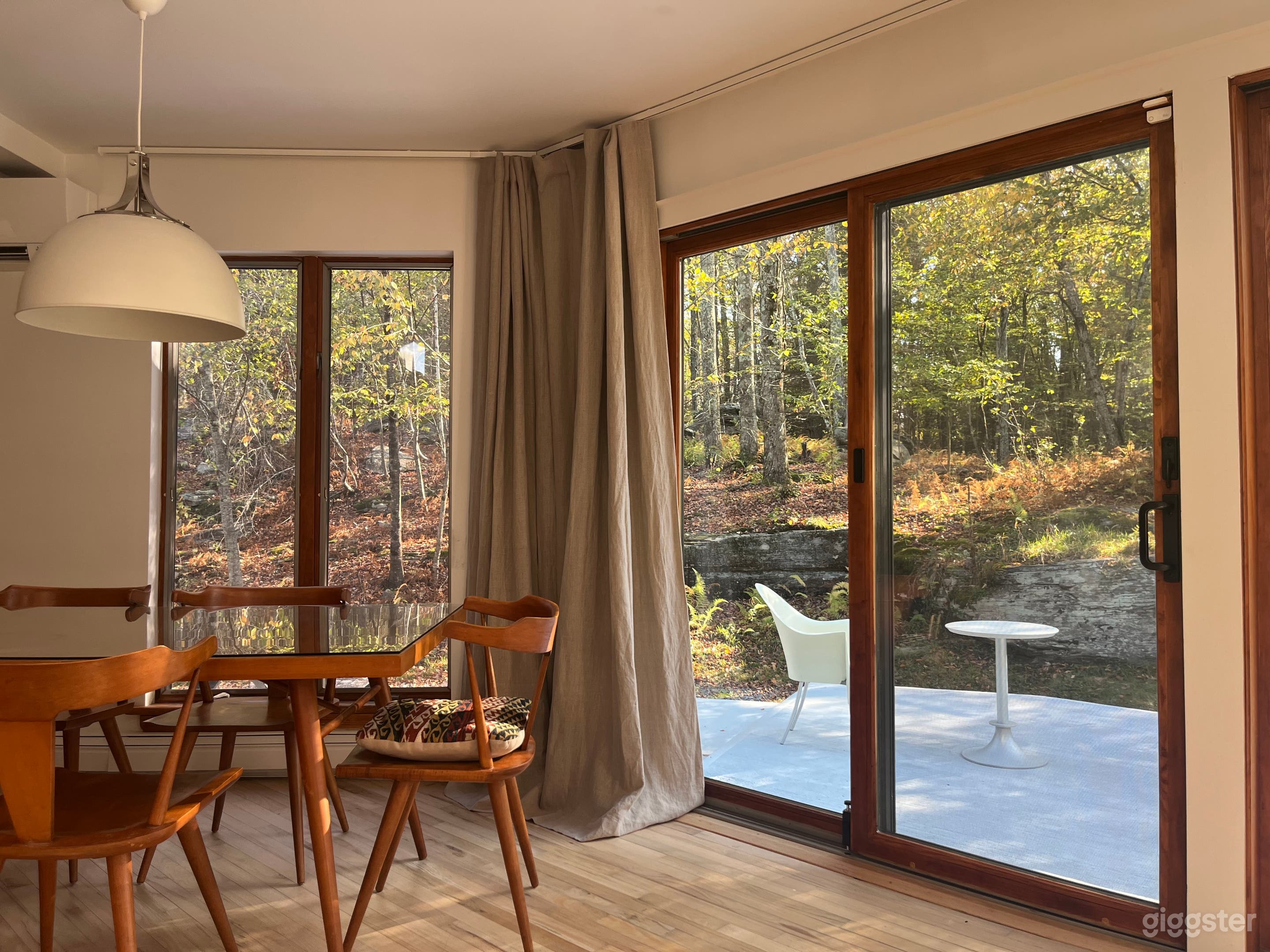 Catskills Contempotrary on the edge of a mature forest Photo 1