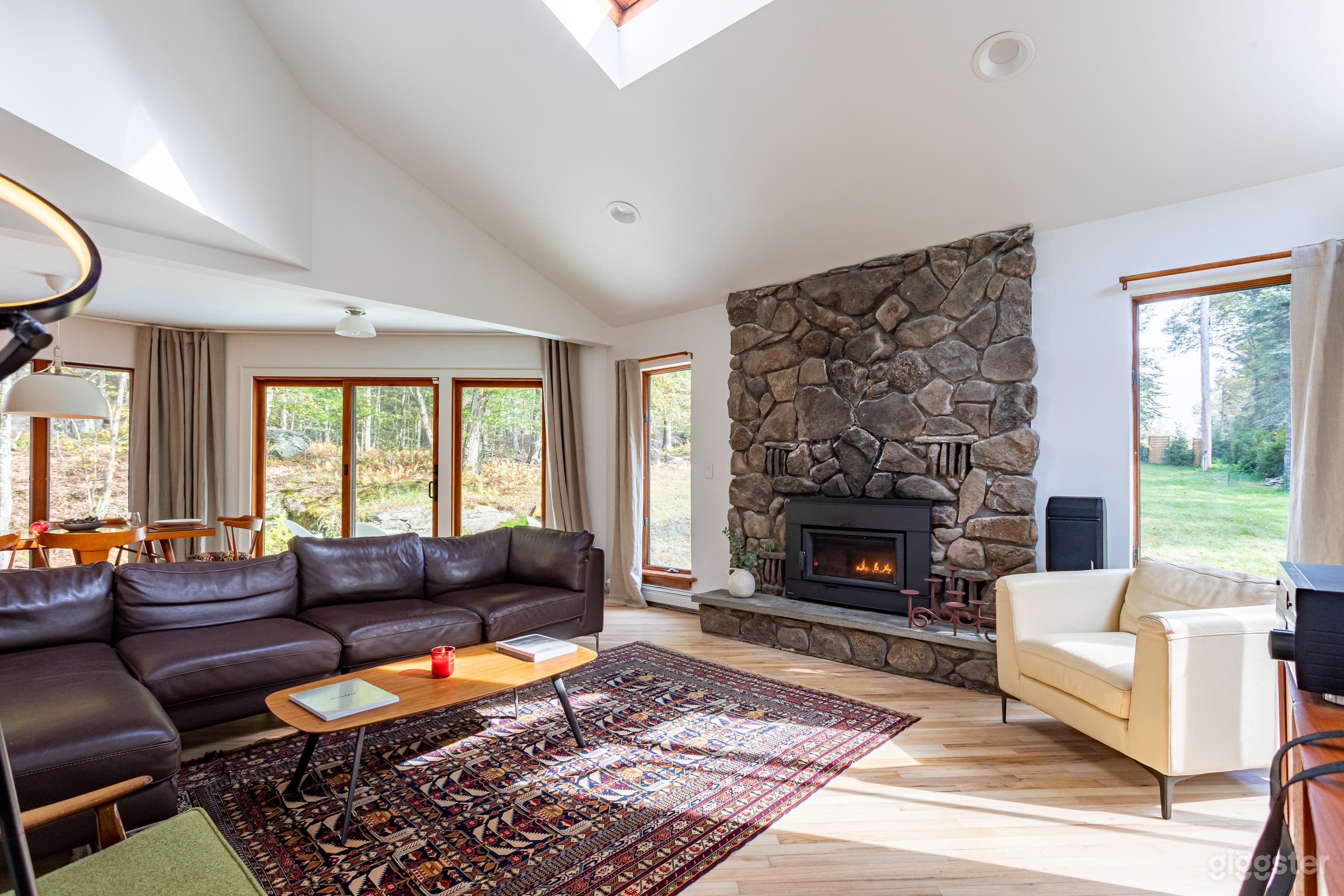 Catskills Contempotrary on the edge of a mature forest Photo 3