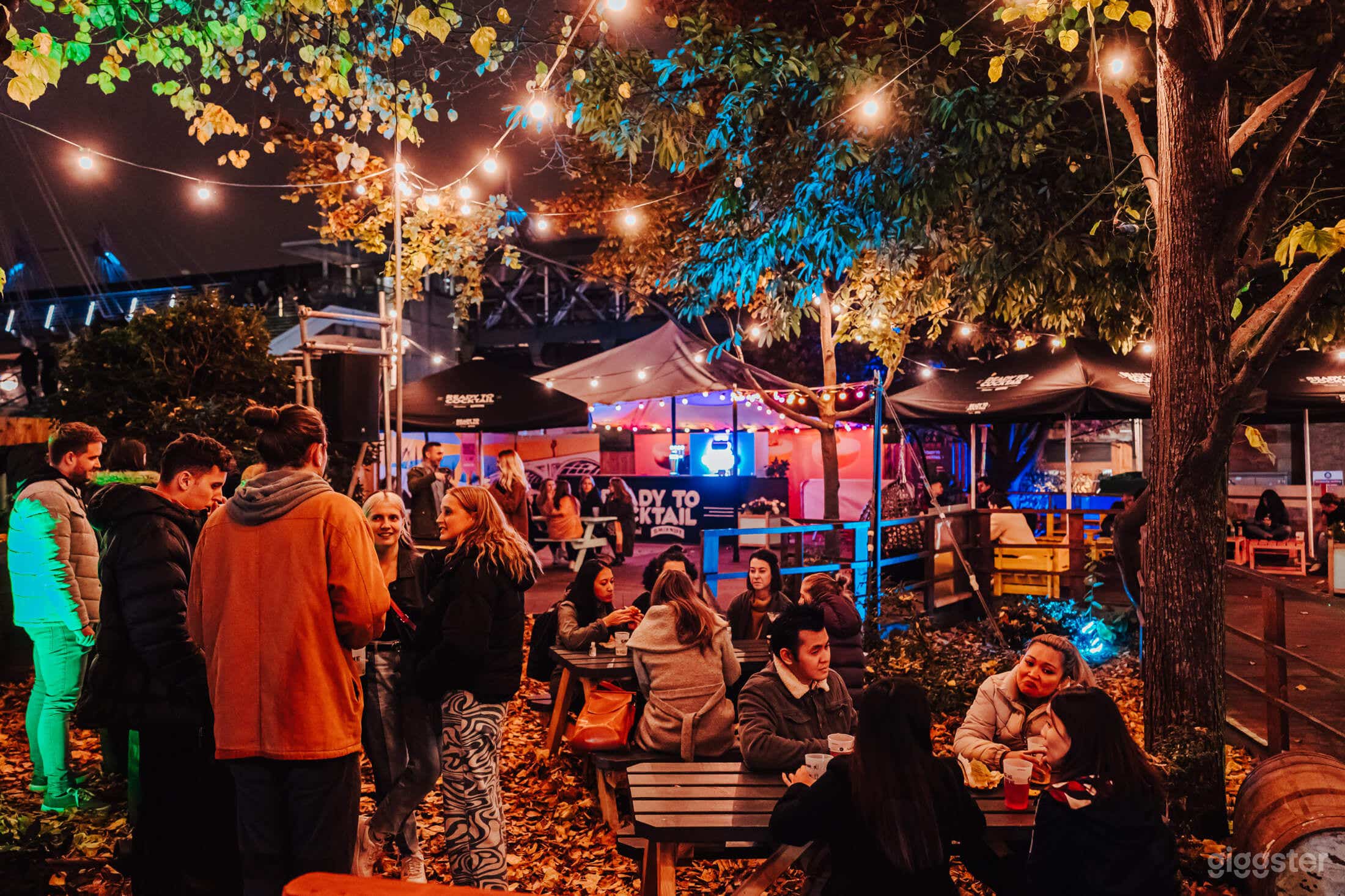 Winter | The Garden Photo 3