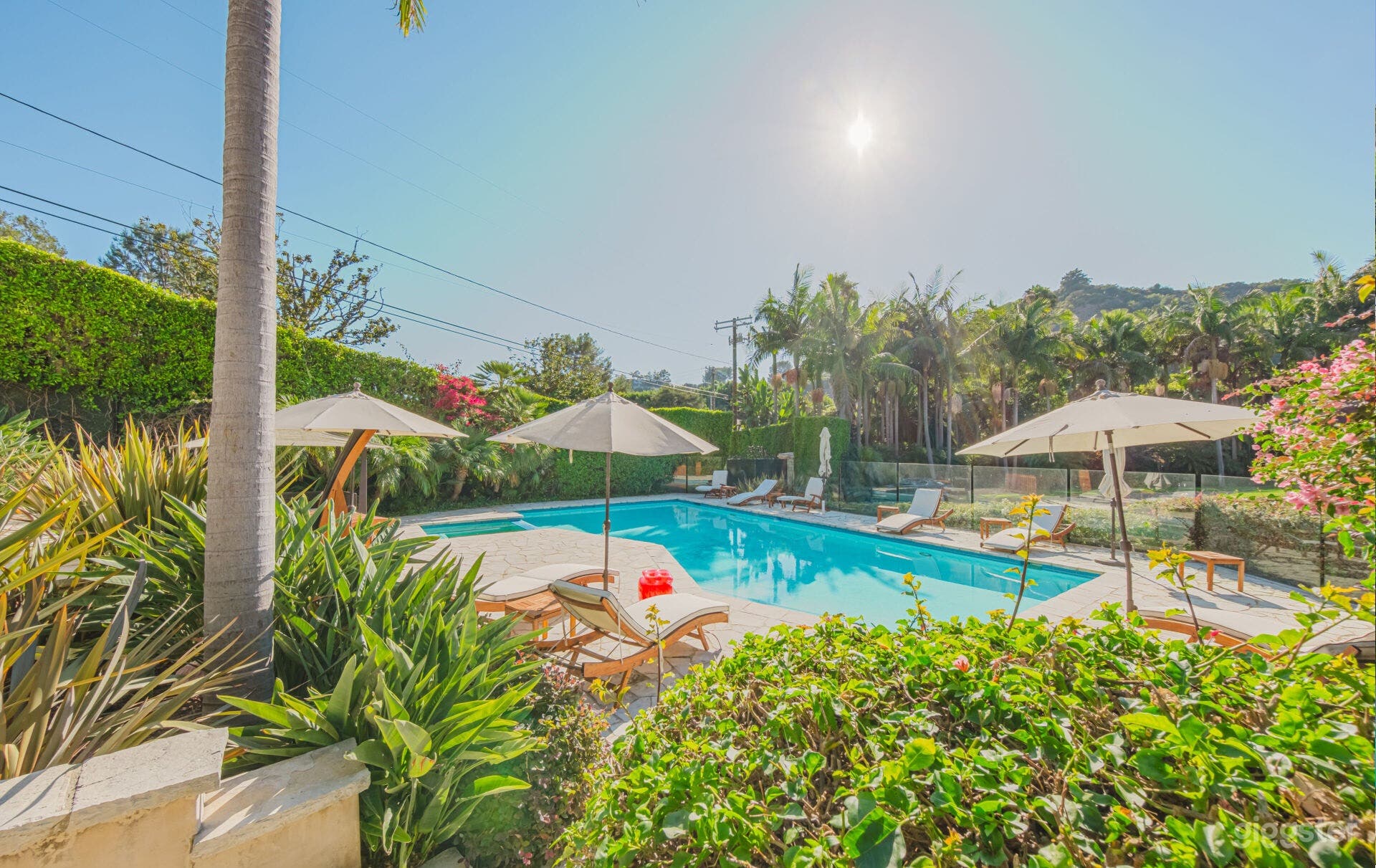  HOLLYWOOD HILLS ESTATE/POOL Photo 3