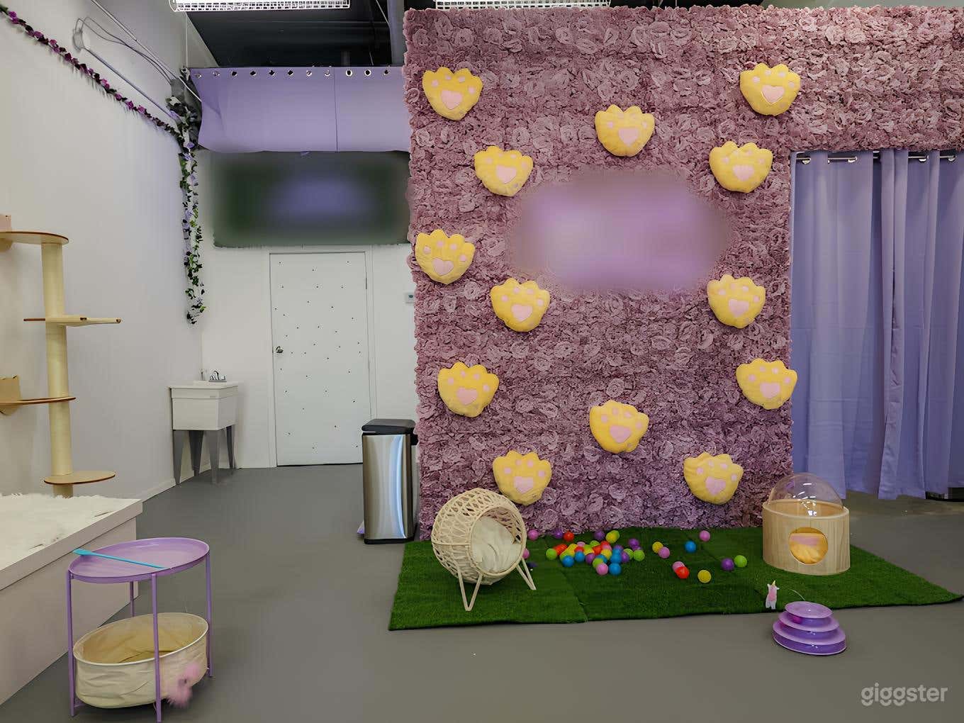 Cat Lounge Experience in Austin Photo 4