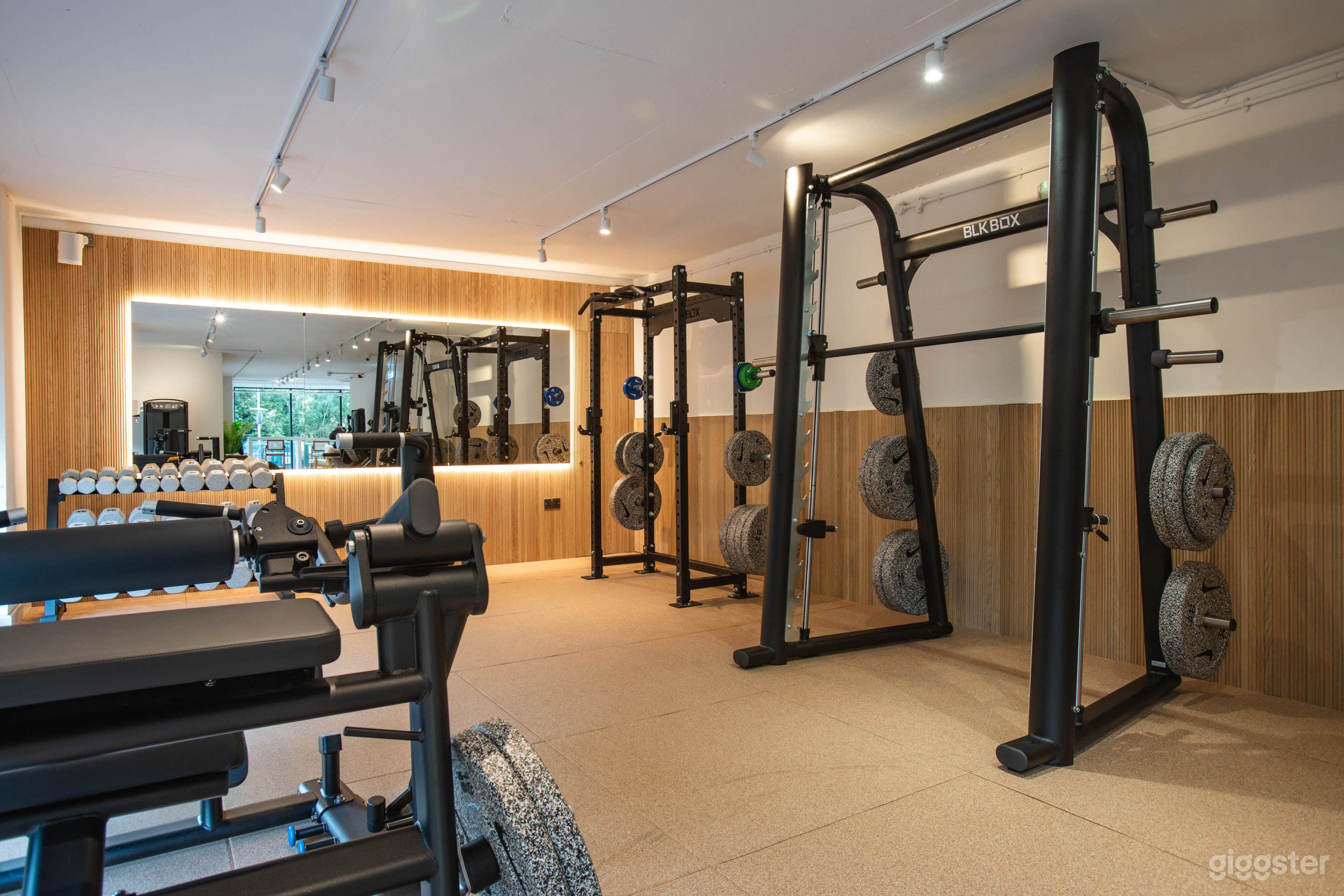 Premium Boutique Gym & Wellness Space Photo 4
