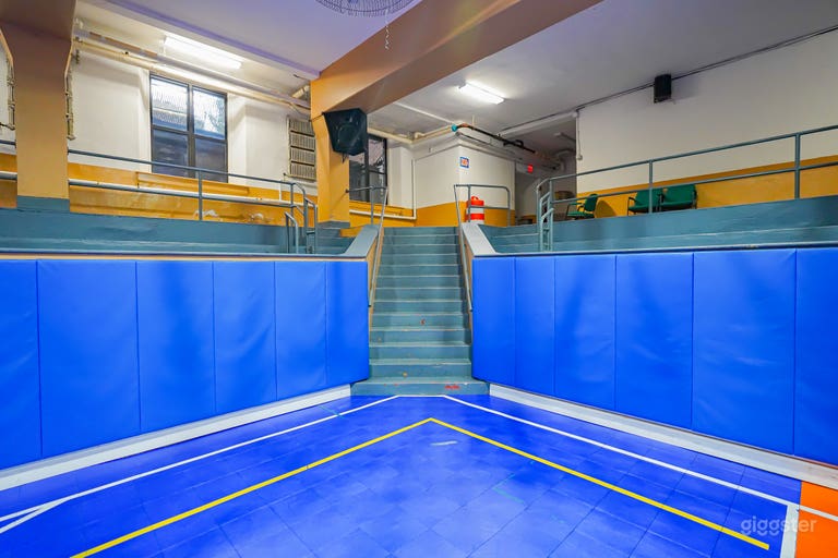  Blue Basketball Court with Arena, Stage 