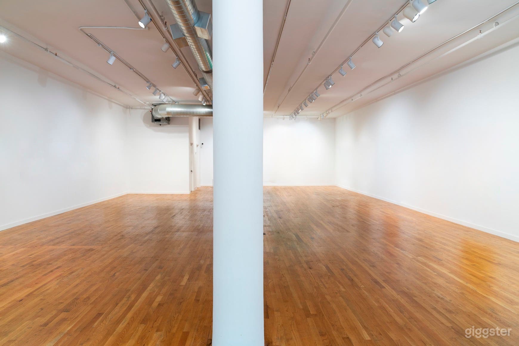 Sunny and Spacious Ground Floor Gallery Photo 3