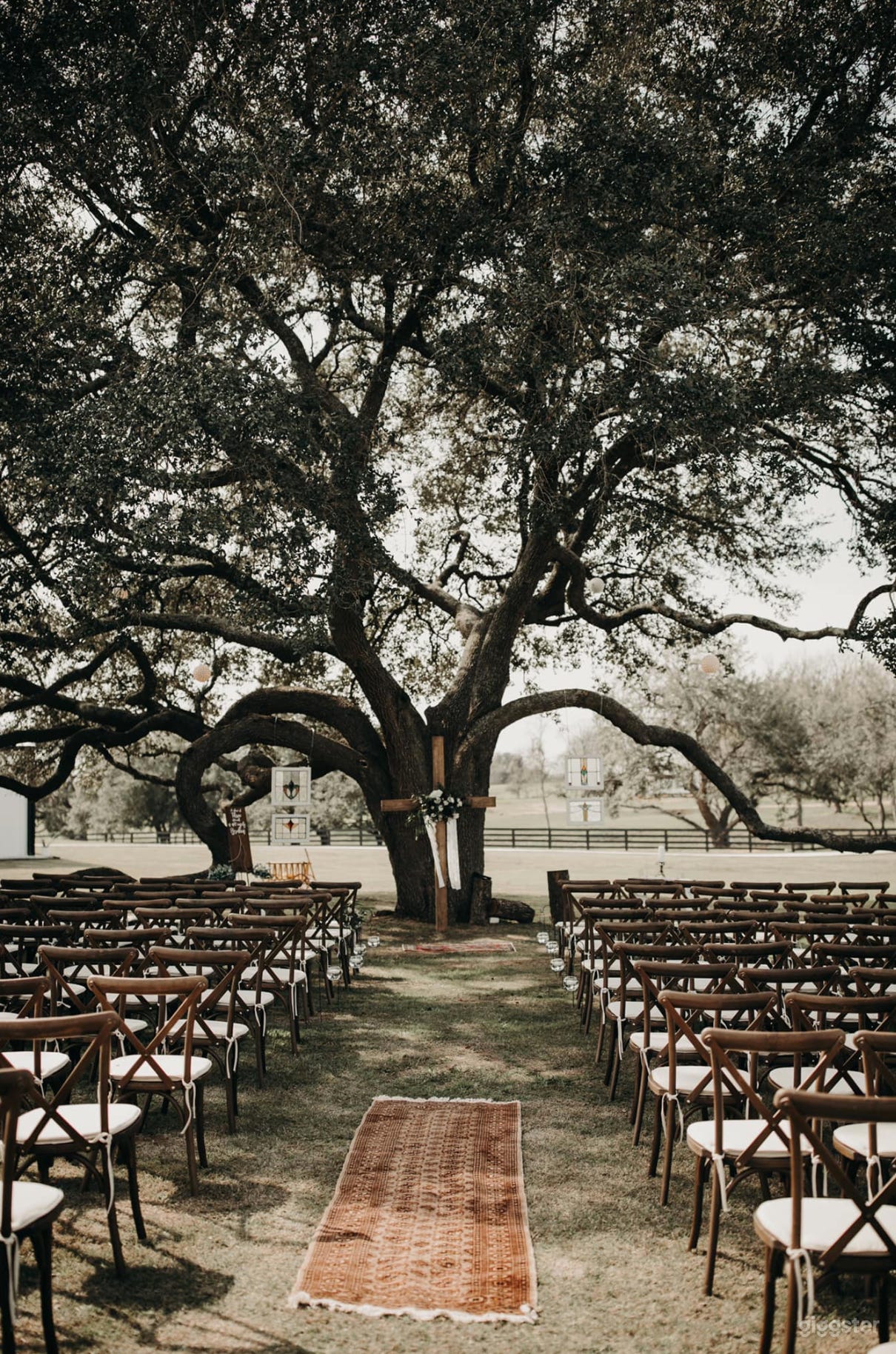 Large live oak tree next to main building. 