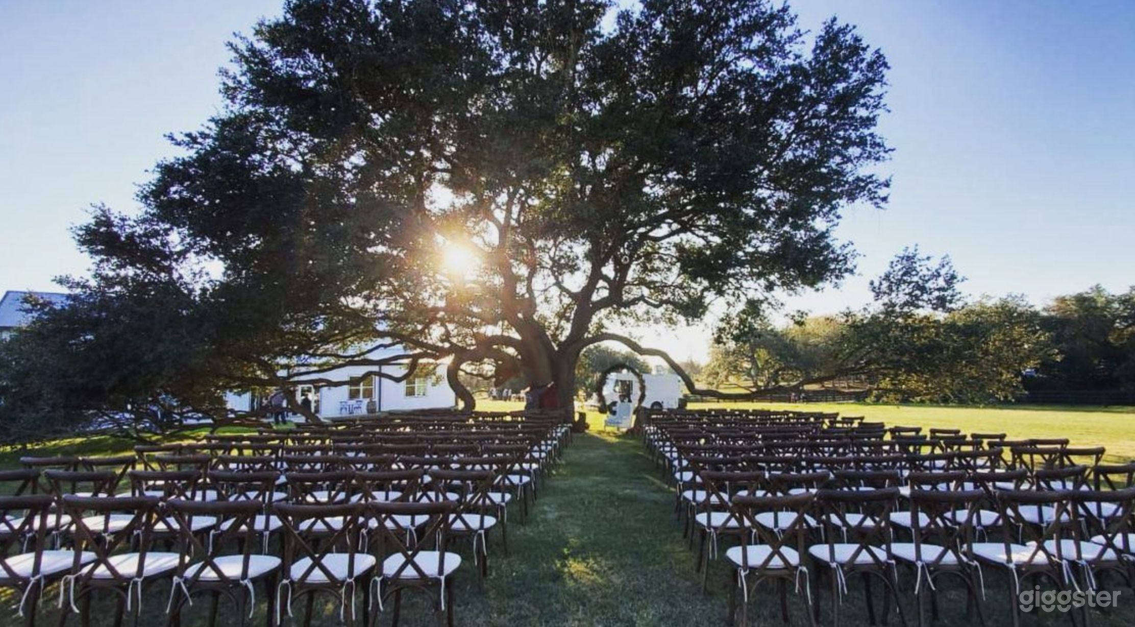 Majestic live oak tree with cross-back chairs and linen cushion seating. We have enough furniture for up to 1000 people. The live oak tree is adjacent to the main building. 