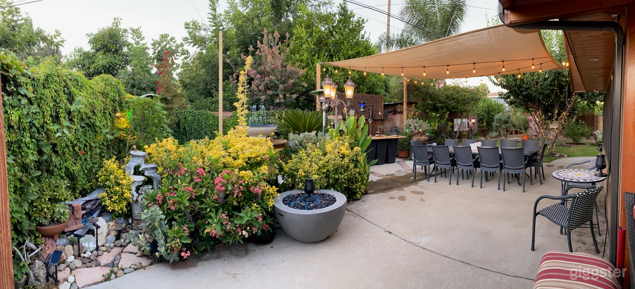 Vibrant Green Garden  Photo 2