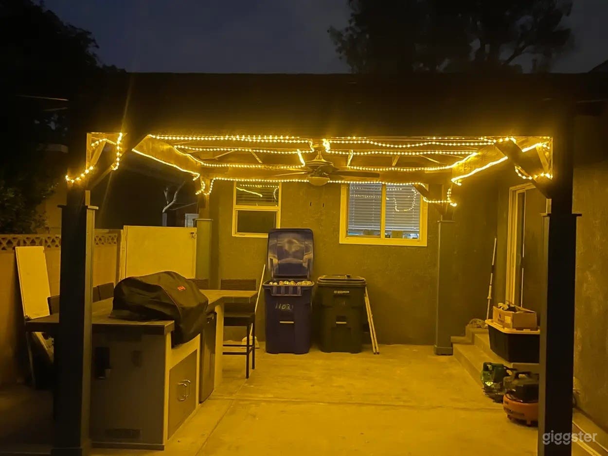 Spacious Backyard with Turf Field Photo 4