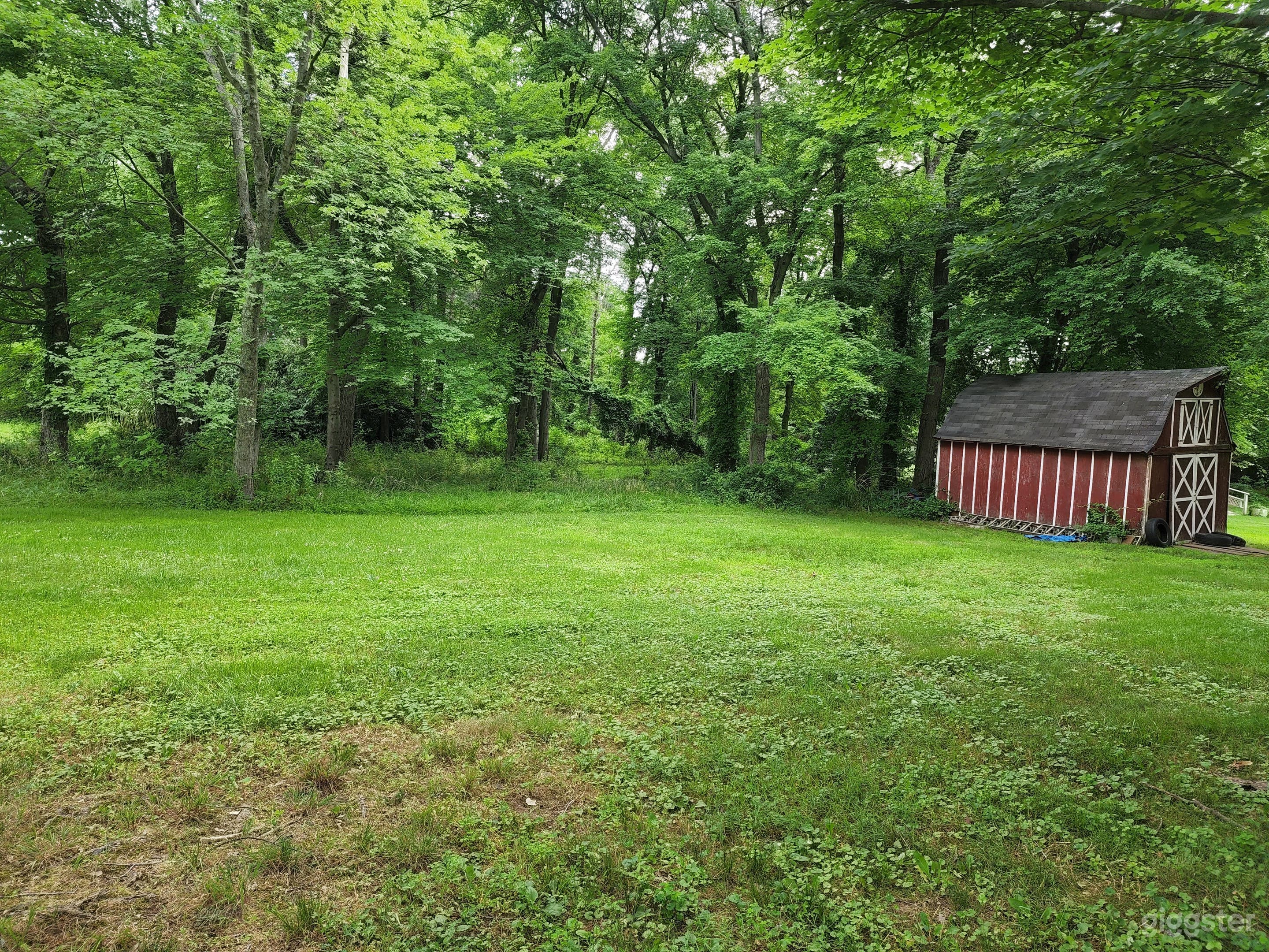 Private and Spacious Backyard for You to Use! Photo 2