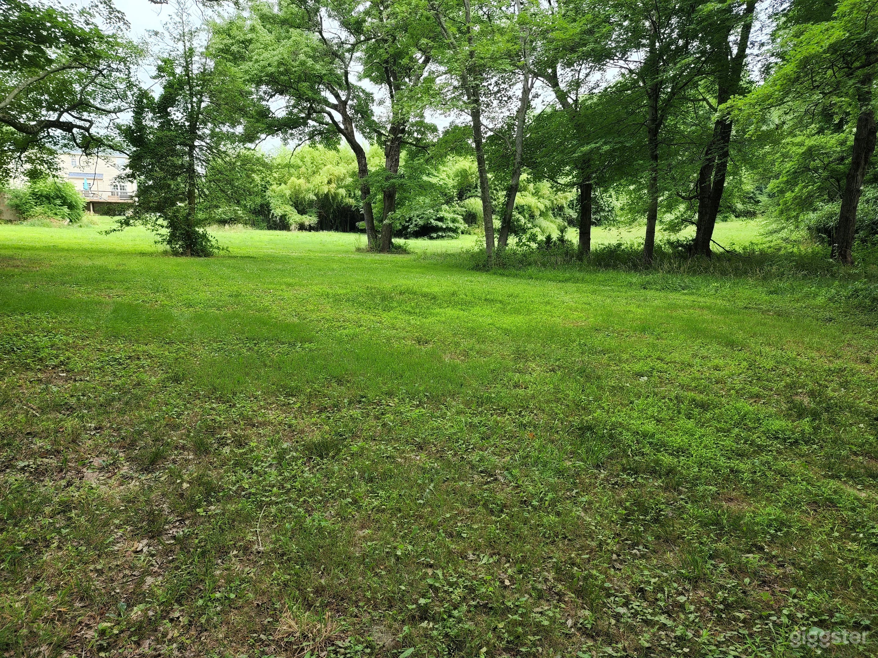 Private and Spacious Backyard for You to Use! Photo 1