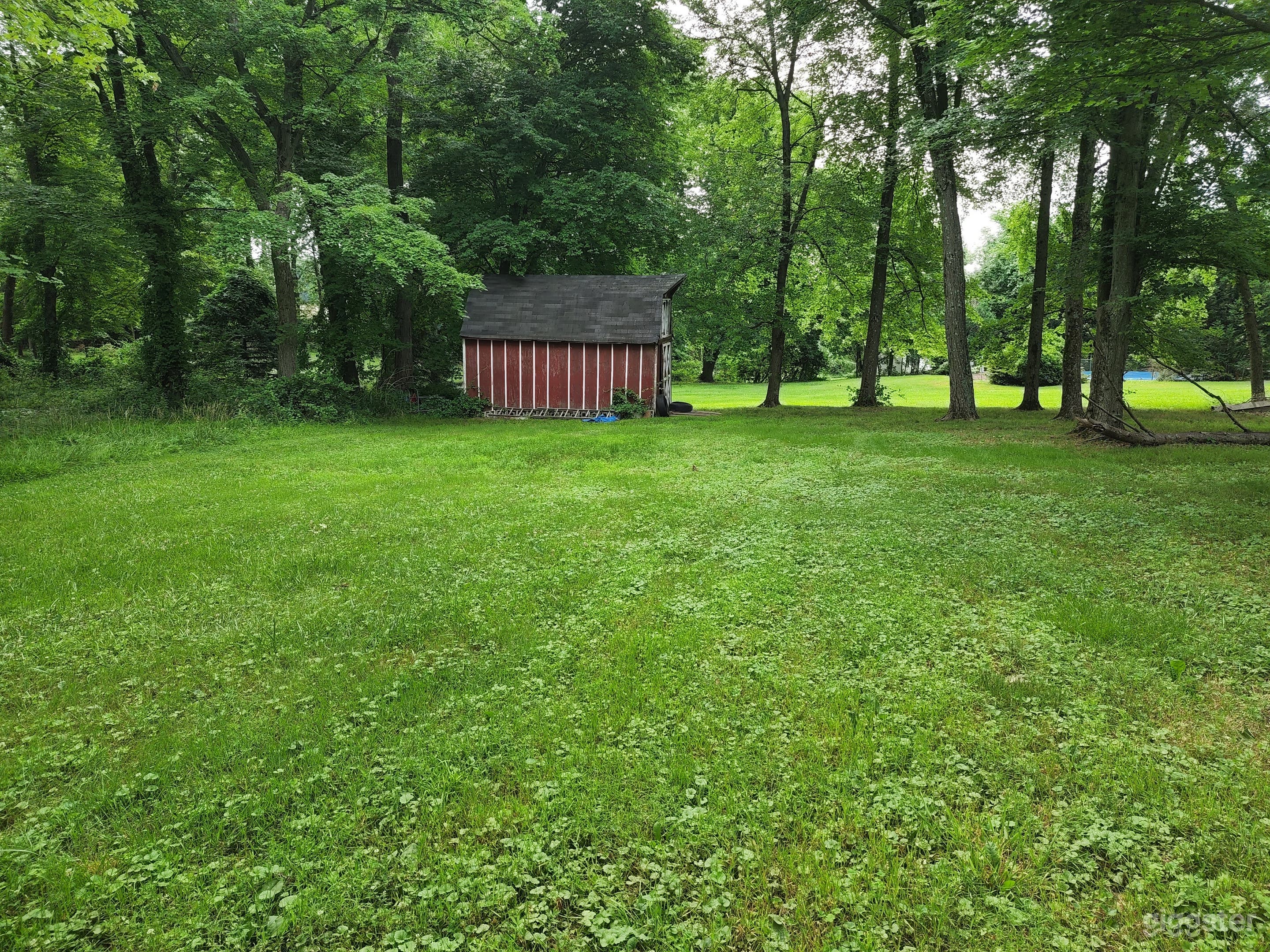 Private and Spacious Backyard for You to Use! Photo 3