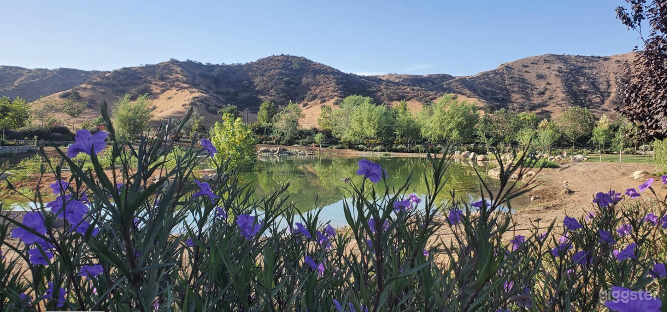 Water Oasis Venue with bar and gardens  Photo 2