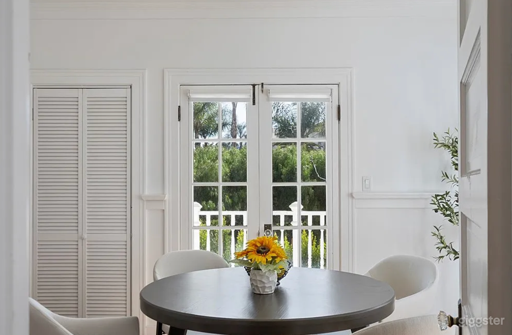 Dream White House for filming Photo 2