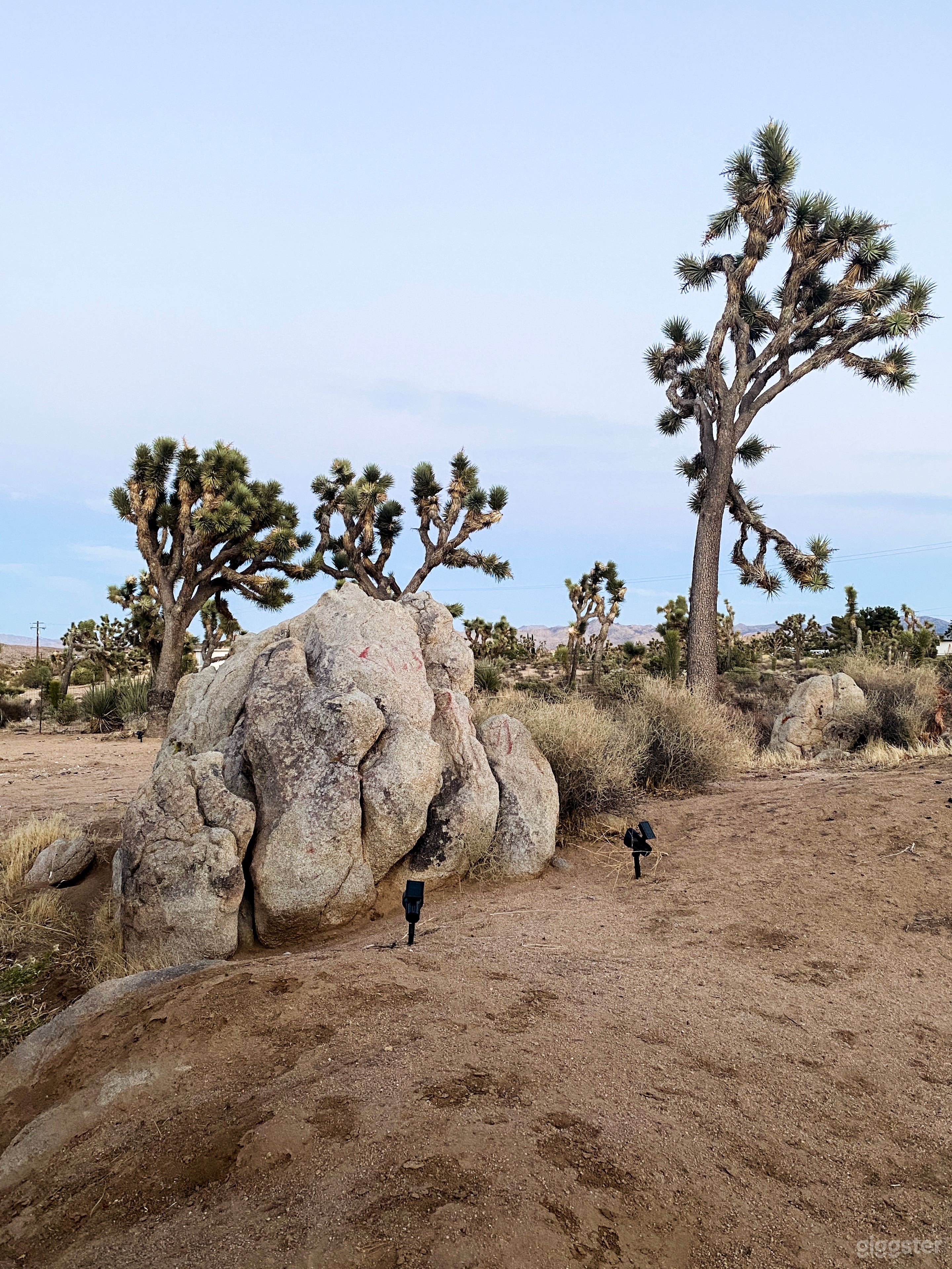 Bright, Modern Desert Home on 5 Acres Photo 4