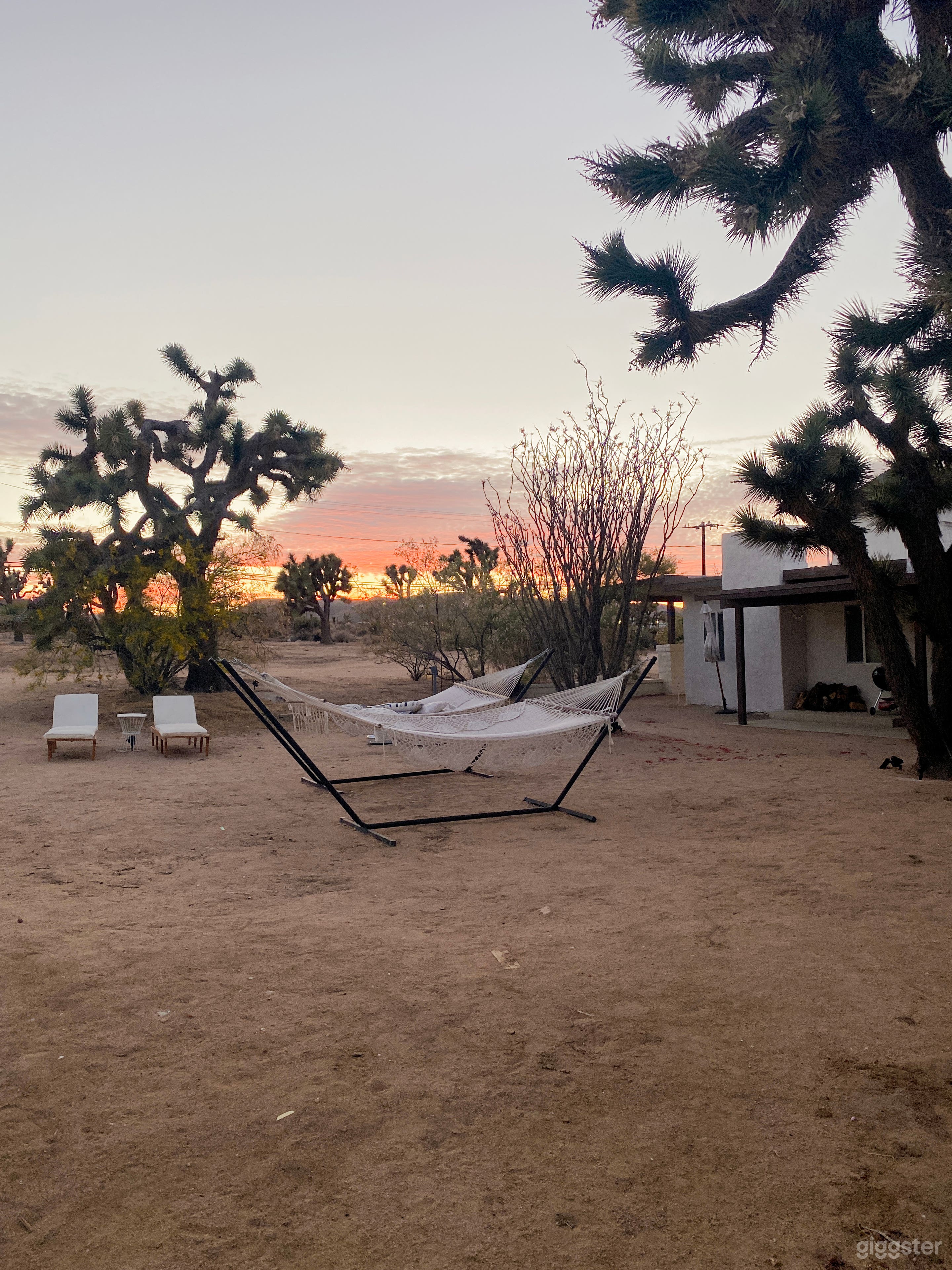 Bright, Modern Desert Home on 5 Acres Photo 2