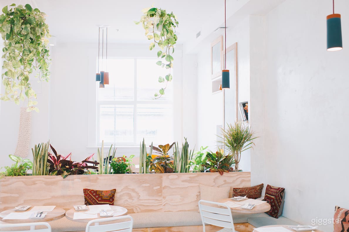 Vancouver's Top Vegan Middle Eastern Eatery Photo 2