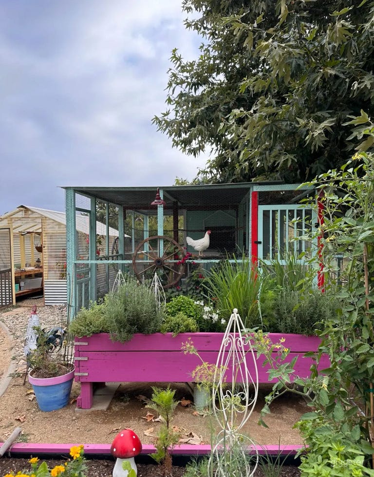  The Sacred Painted Oasis 