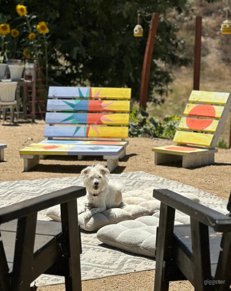  The Sacred Painted Oasis 