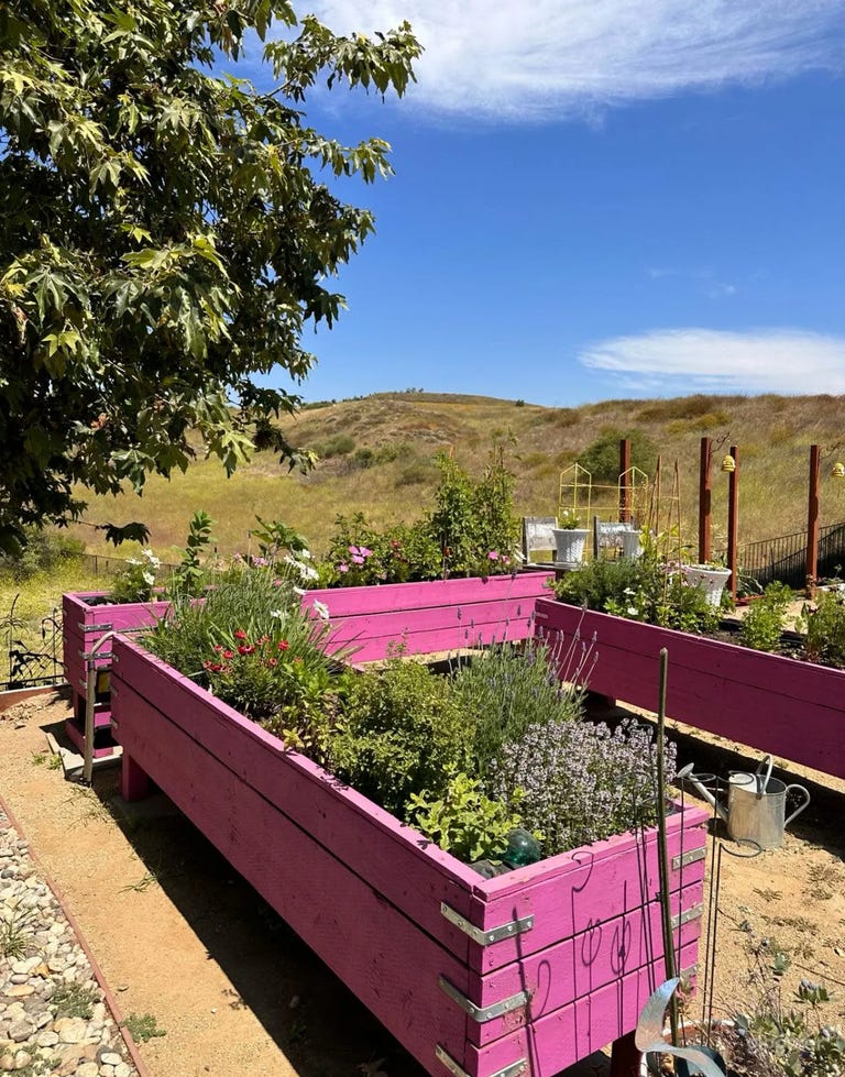  The Sacred Painted Oasis 