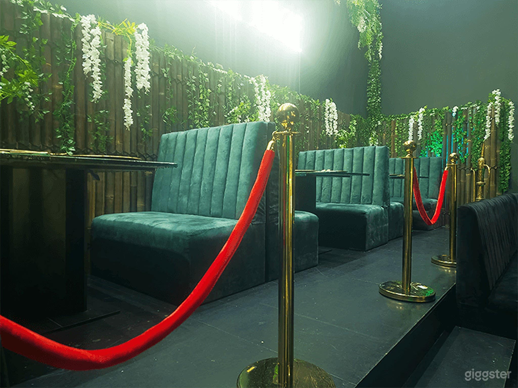 Jungle bar and grill Photo 3