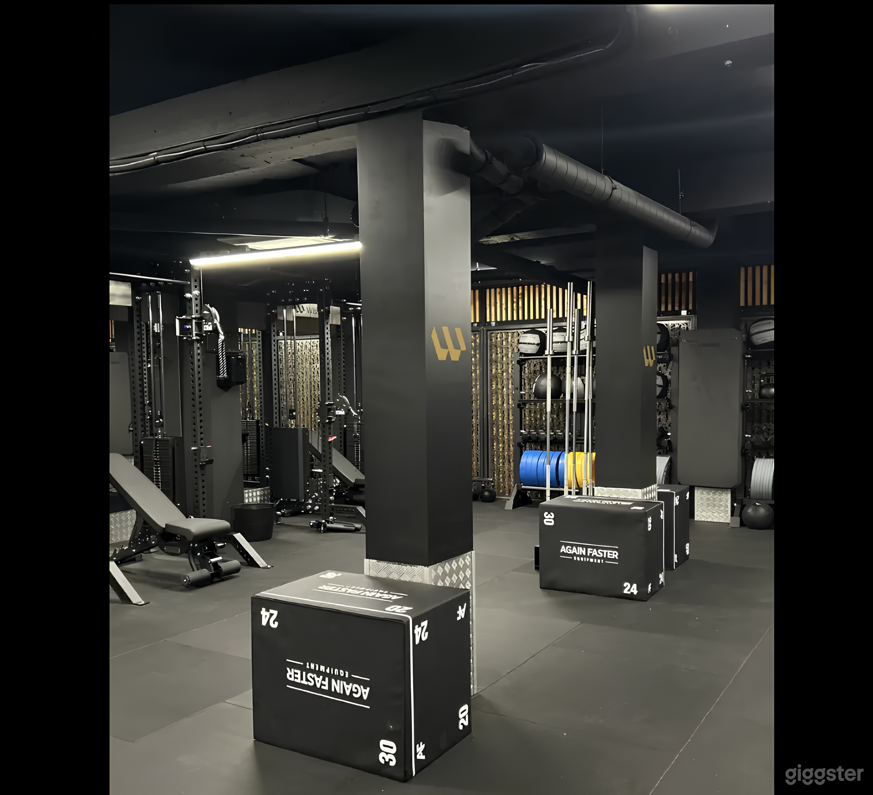 Brand New Gym in Fulham – Perfect for Fitness Photoshoots Photo 4