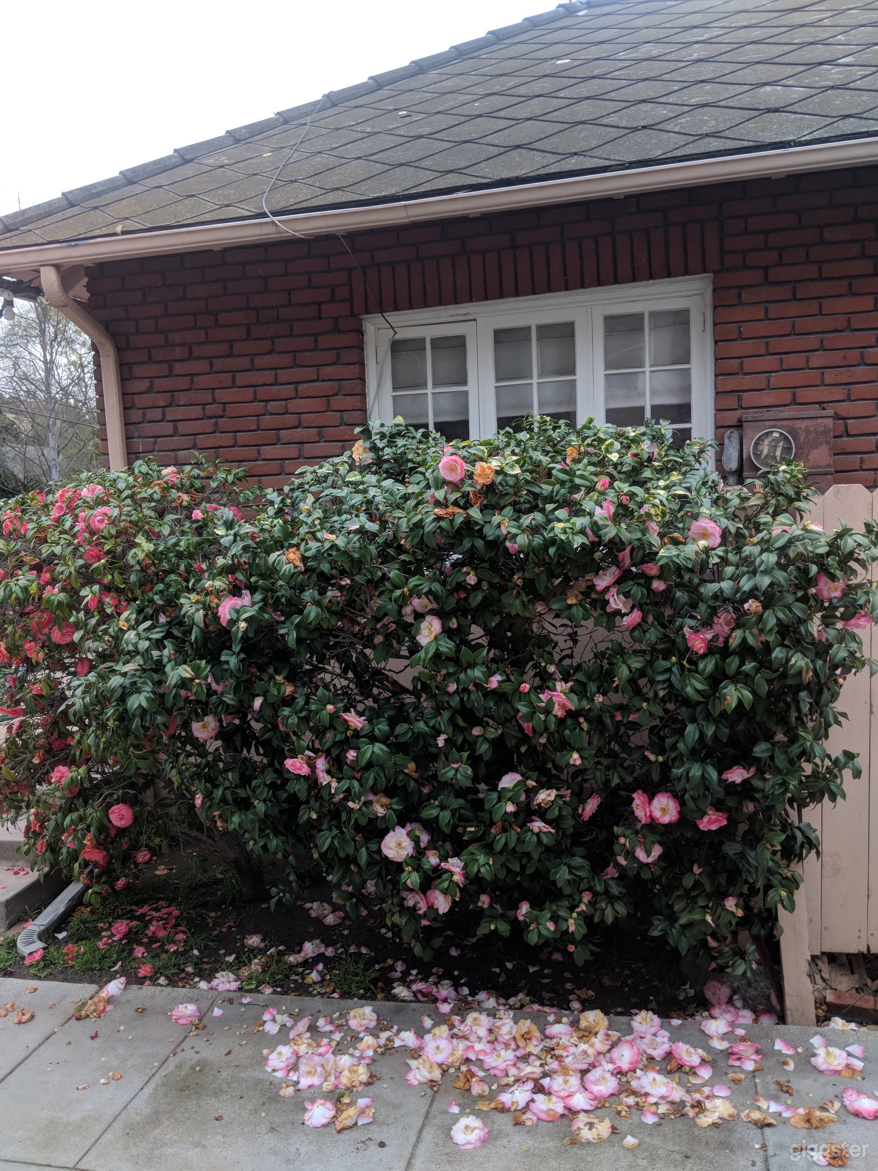 The Great American home and gardens. Photo 4