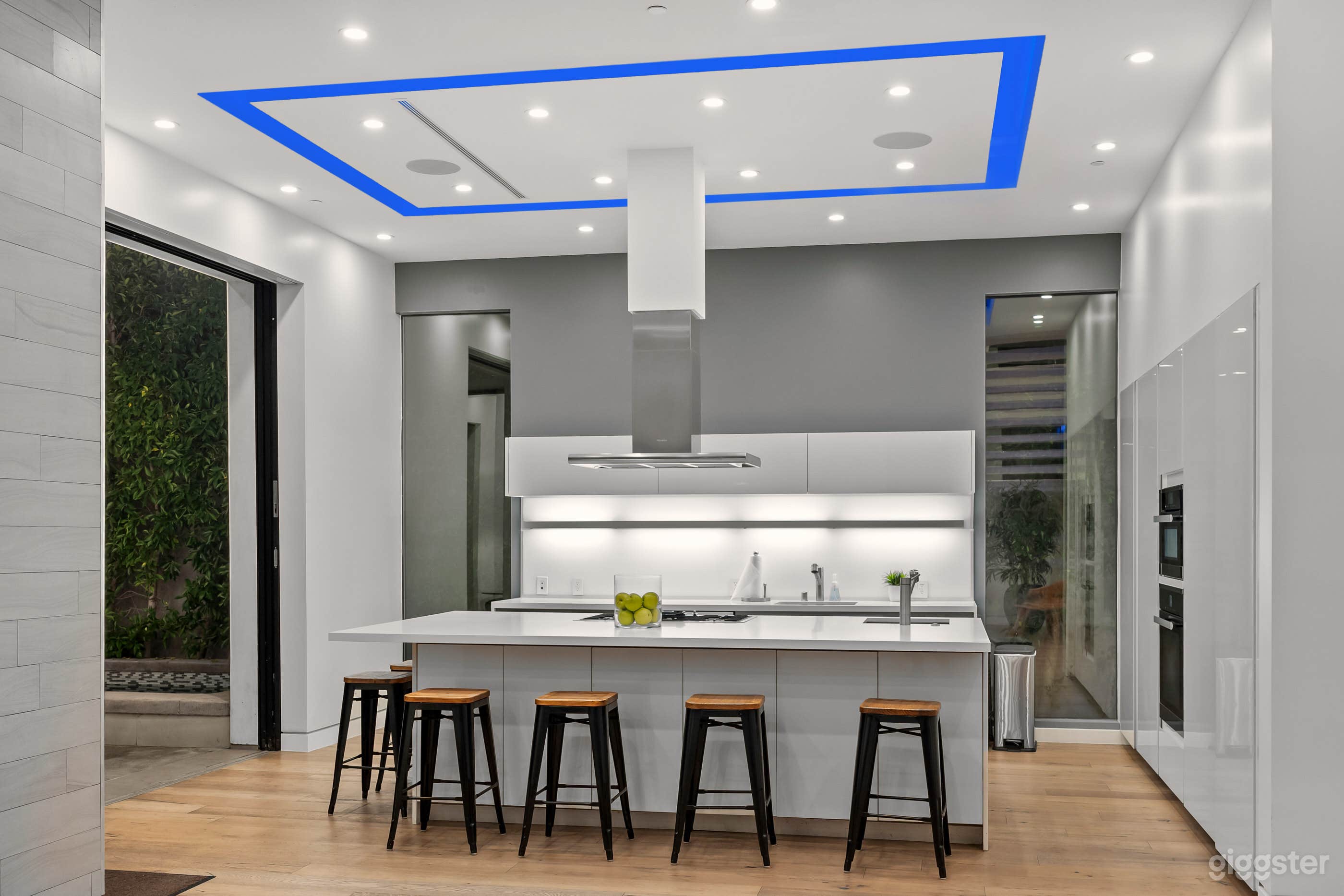 ORLANDO SLEEK MODERN ARCHITECTURAL HOME Photo 4