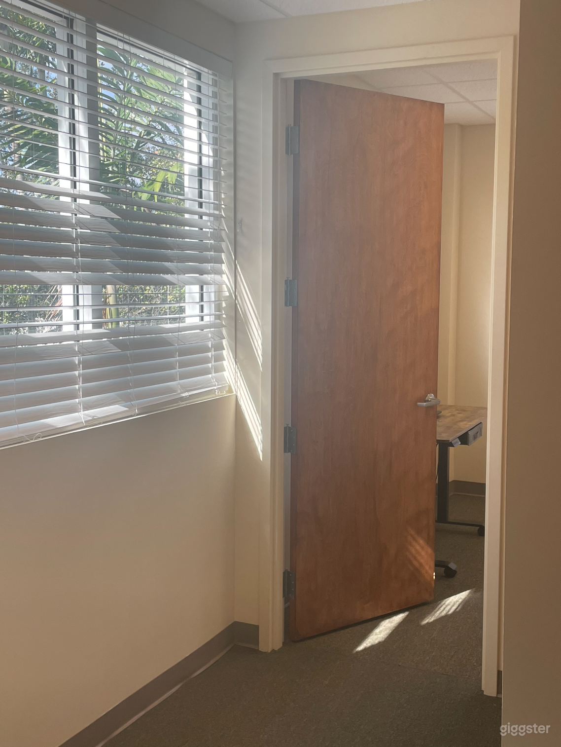 Versatile Office  Photo 4