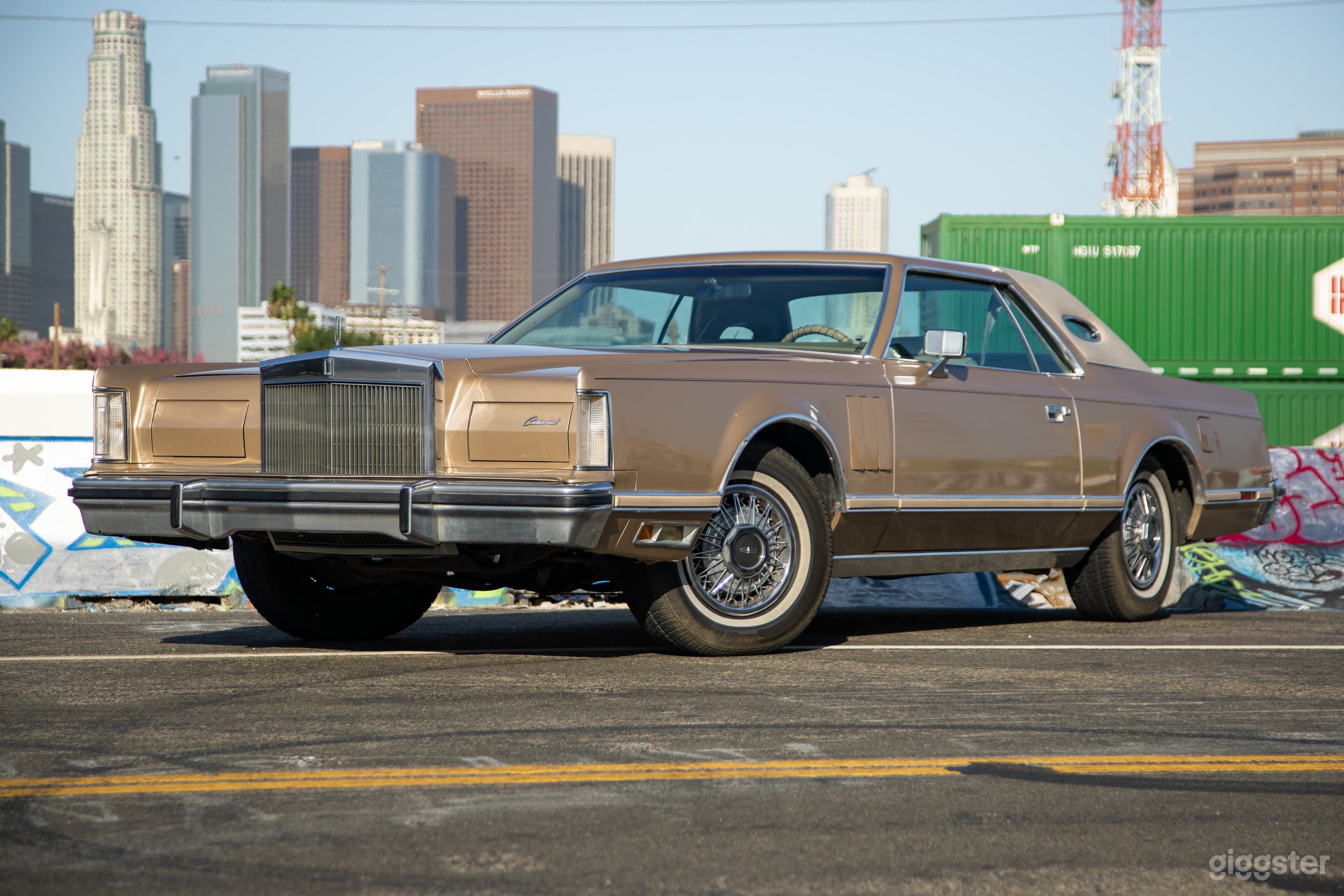 End-of-Era Original 1970s Full-Size Luxury Coupe Photo 1