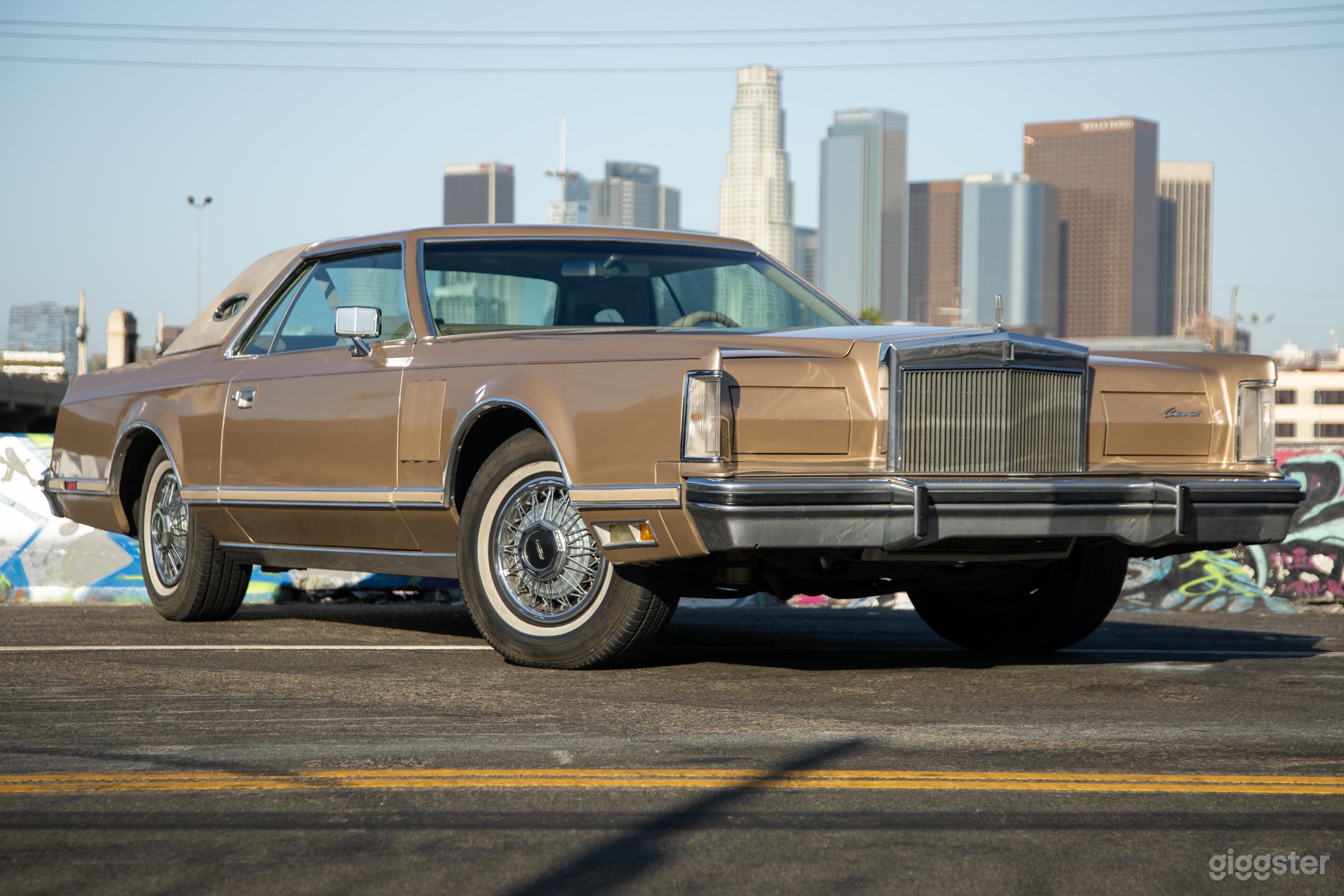 End-of-Era Original 1970s Full-Size Luxury Coupe Photo 2