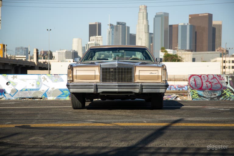  End-of-Era Original 1970s Full-Size Luxury Coupe 