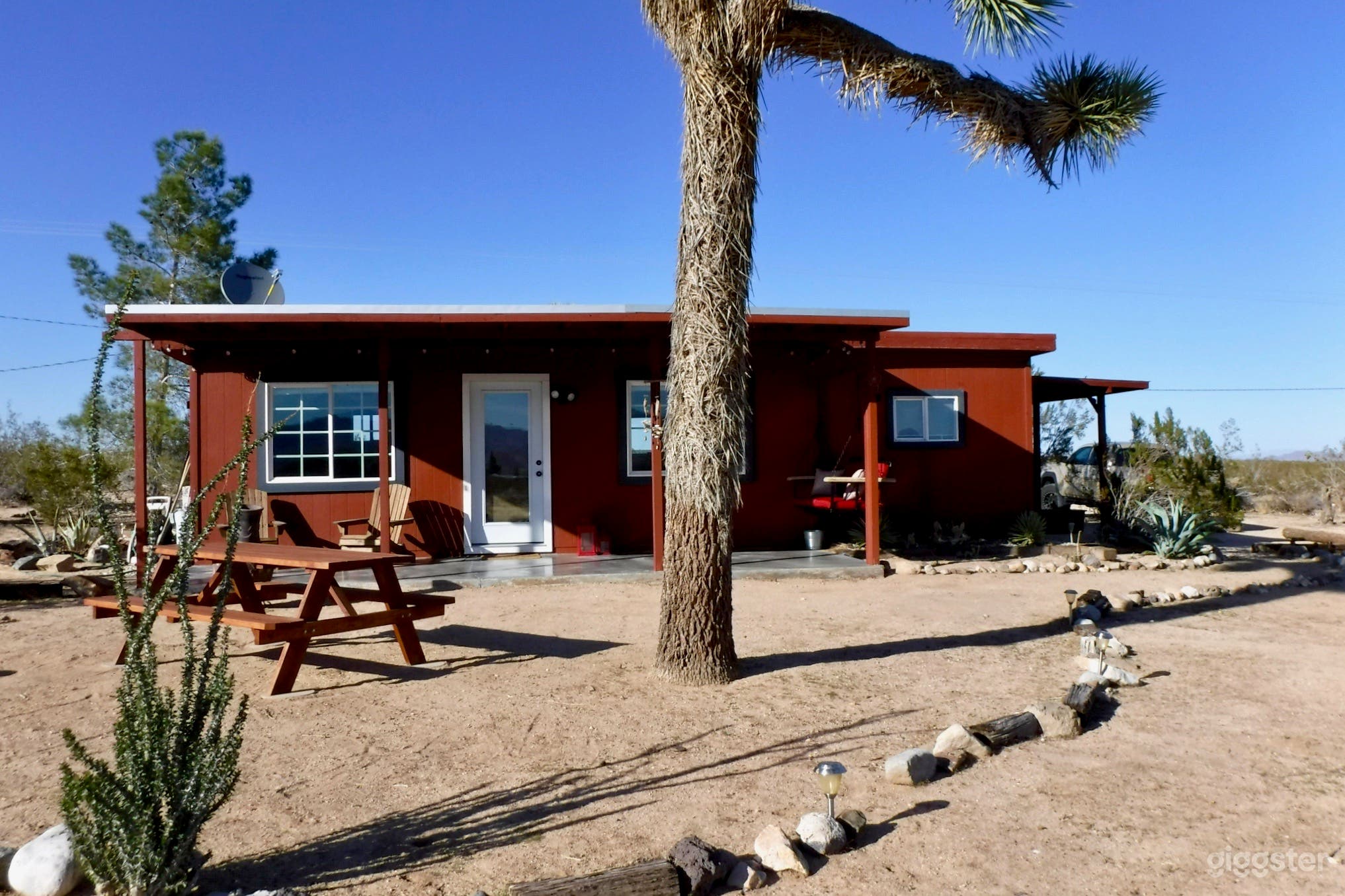 Come relax under our Joshua Tree 