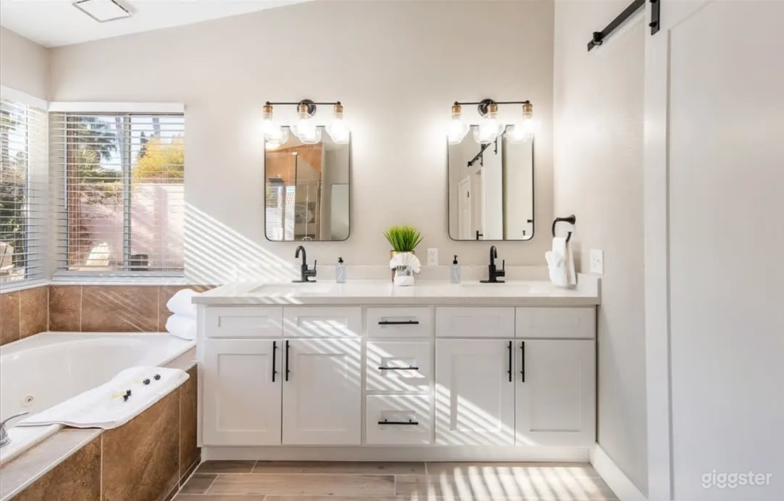 Modern Bright Resort Style Home with high ceilings Photo 3