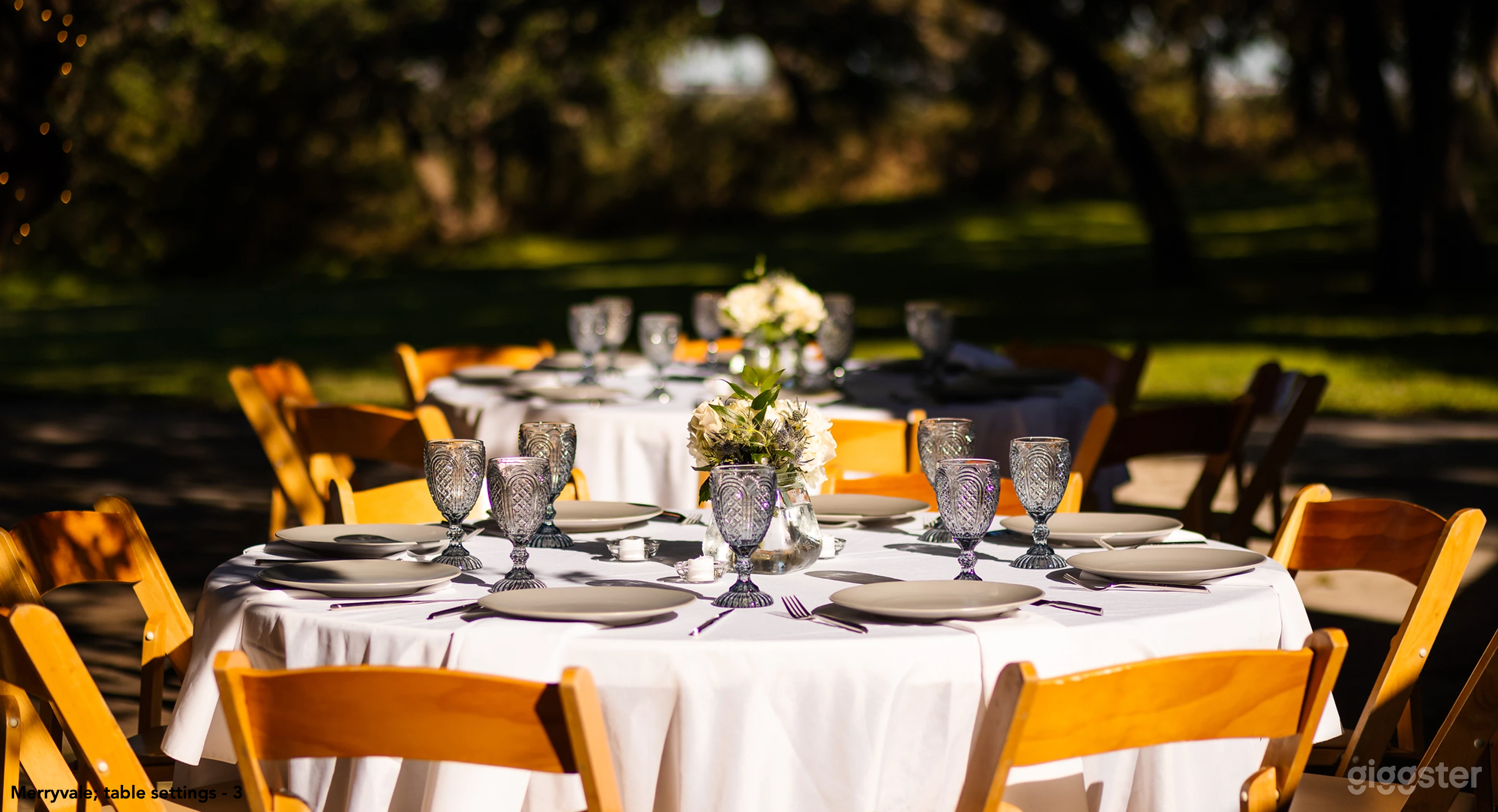 Lavish Event venue in Texas Photo 3