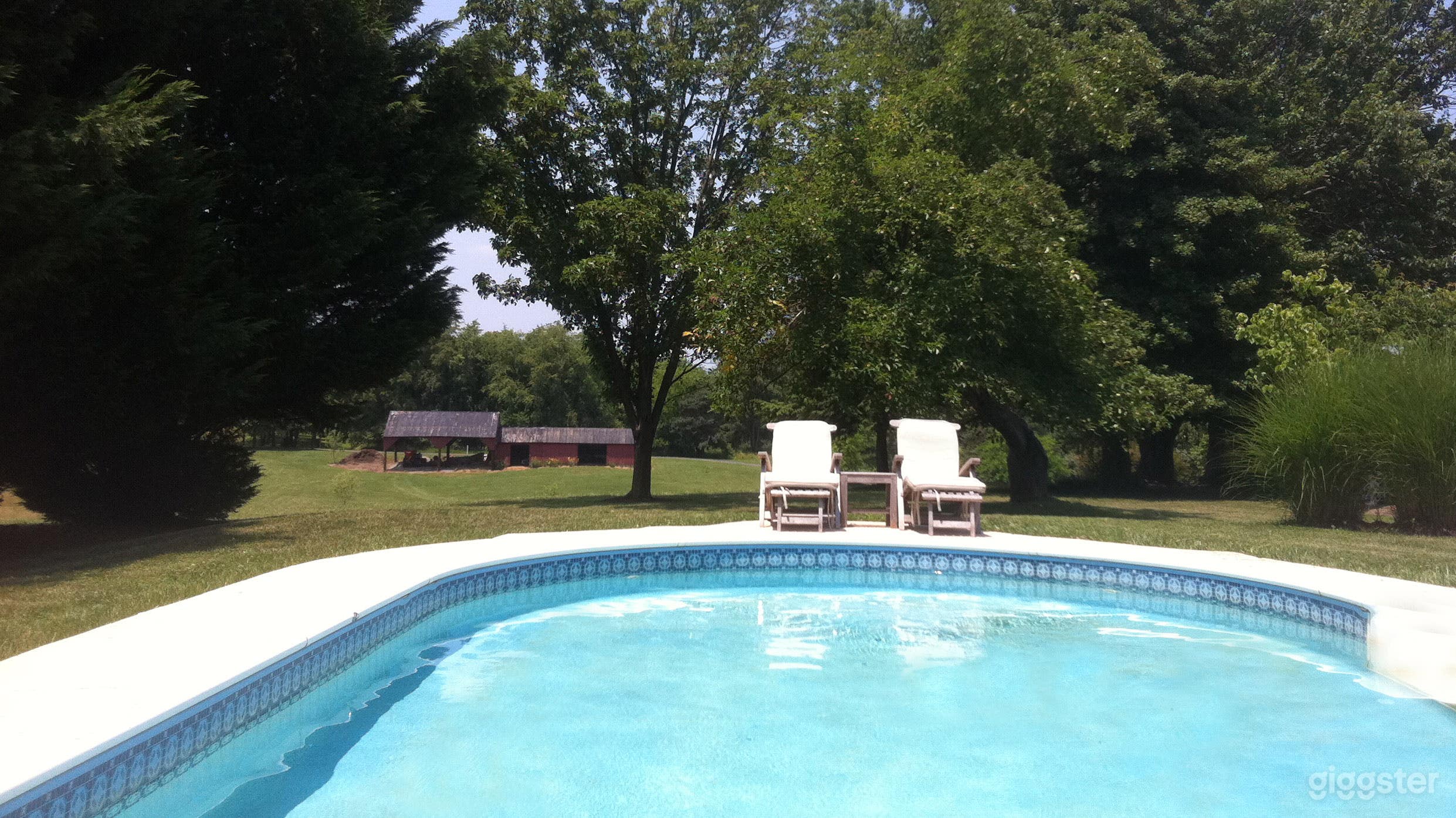11-Gallon Oval Pool Surrounded by Lush Grenery Photo 2