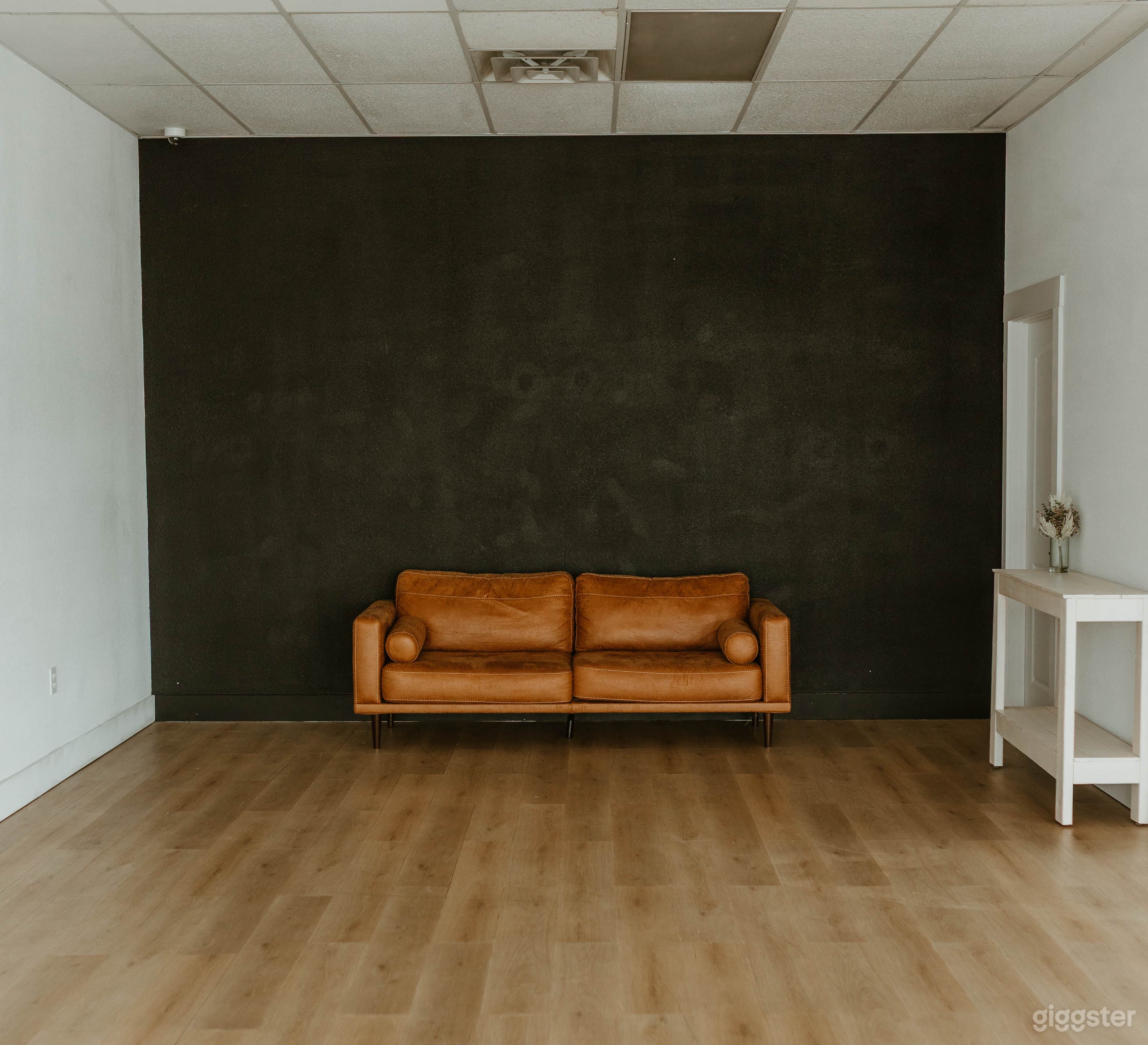 Natural Radiant Light Studio Photo 1