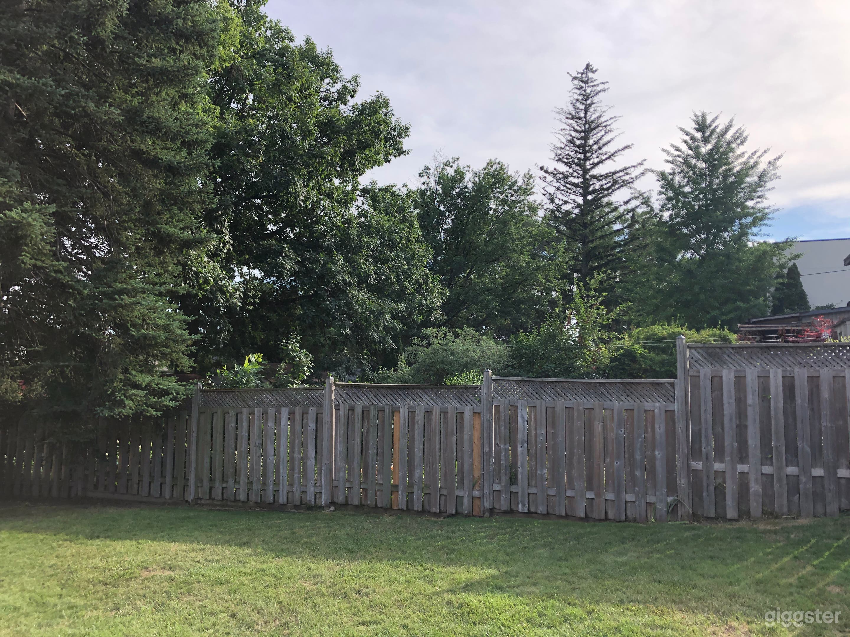 Large Toronto Backyard Space Photo 3