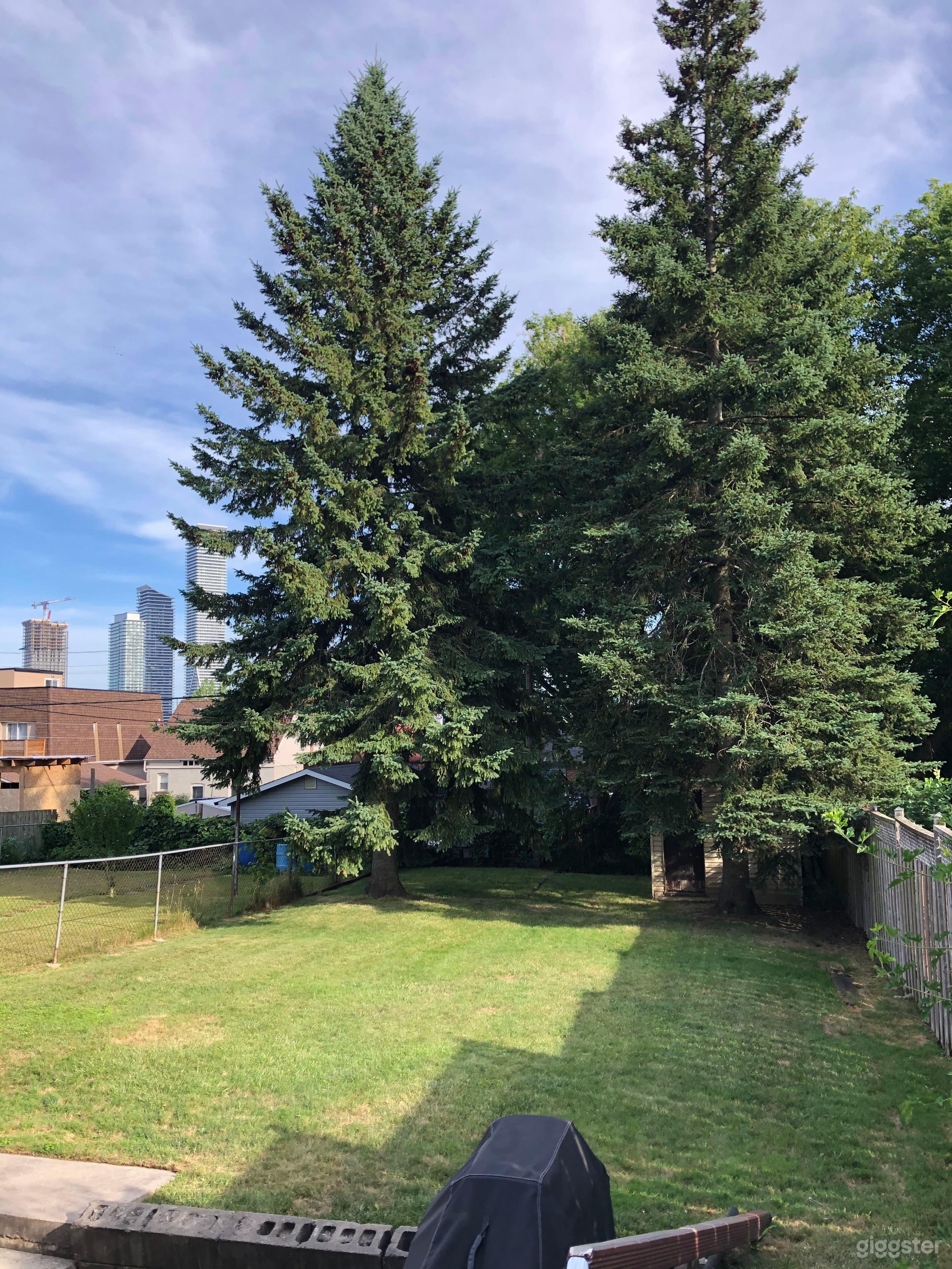 Large Toronto Backyard Space Photo 2