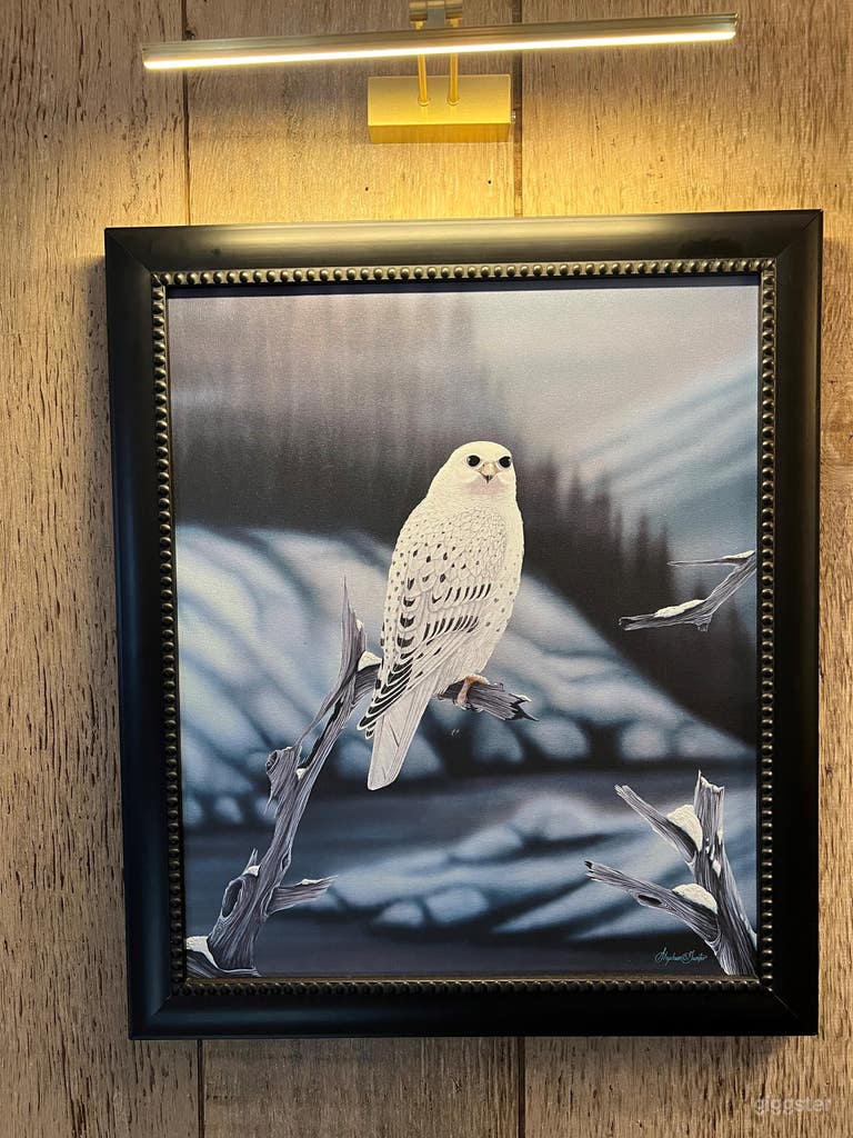  Discover Original ArtWork throughout the space while sipping your favorite Cocktail. The Giclee shown here is a Gyrfalcon. 