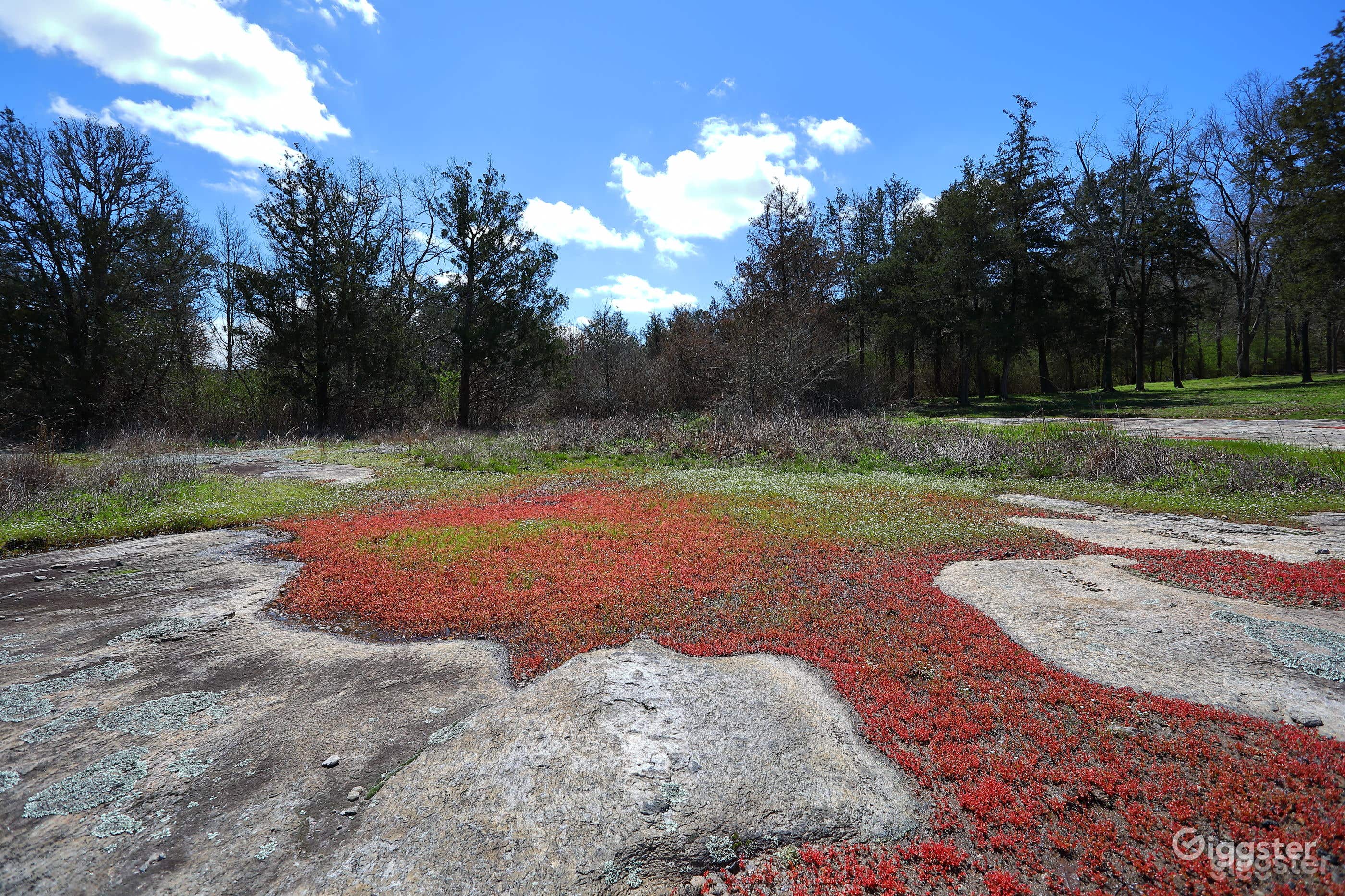 March-
More spring algae blooms.
