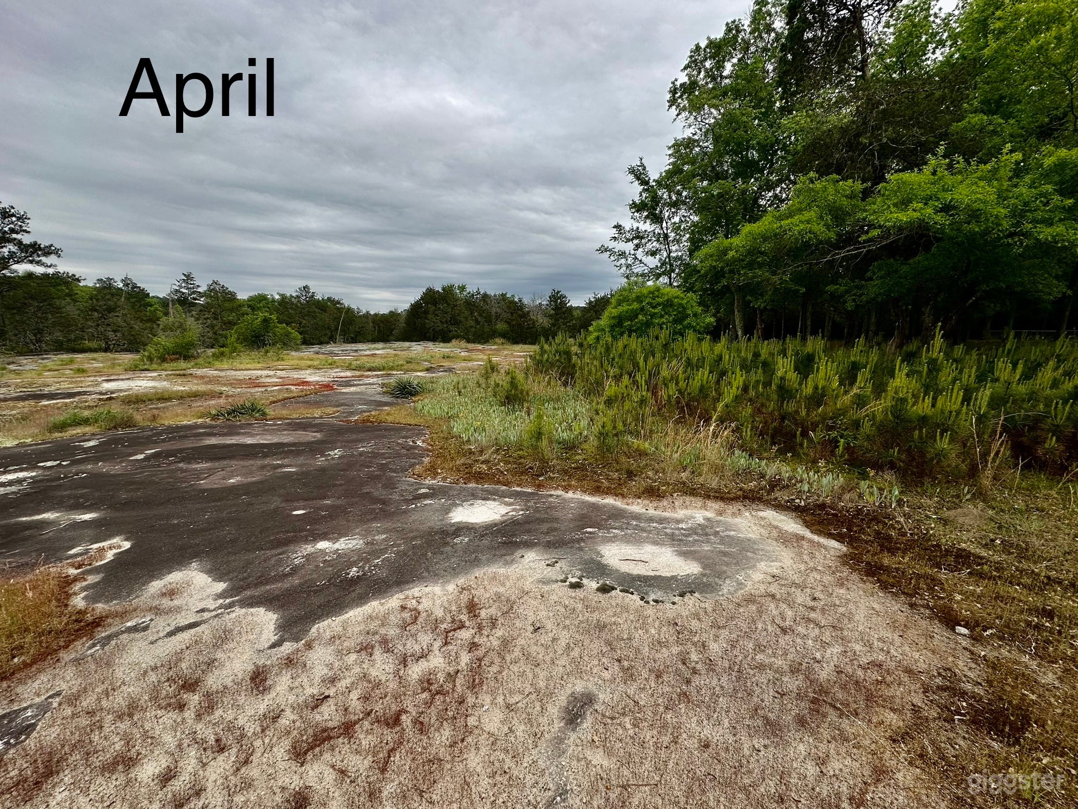 Conyers Rockdale Outdoor Nature Film / Photo Shoot Photo 3