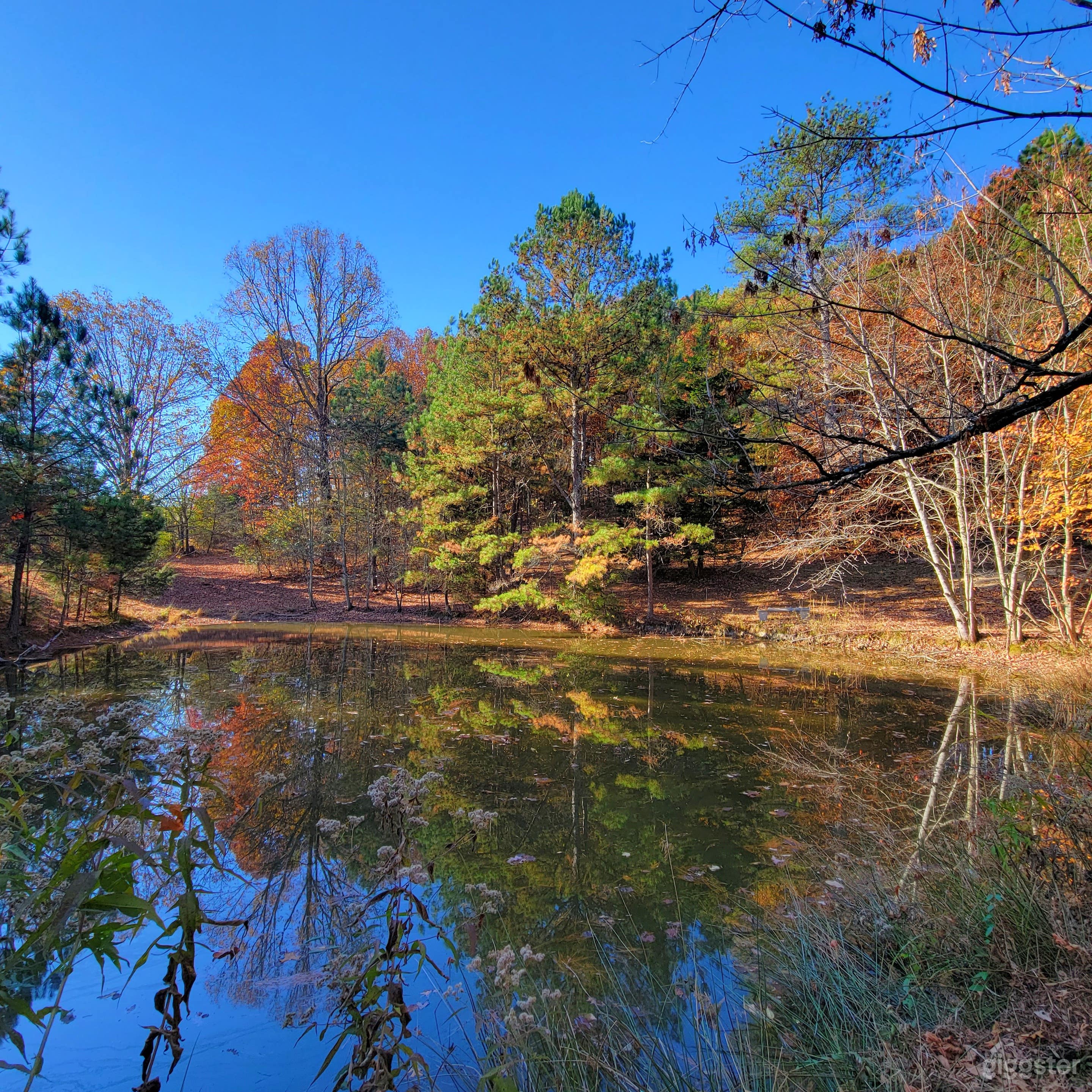 Country Estate Photography Venue Photo 4