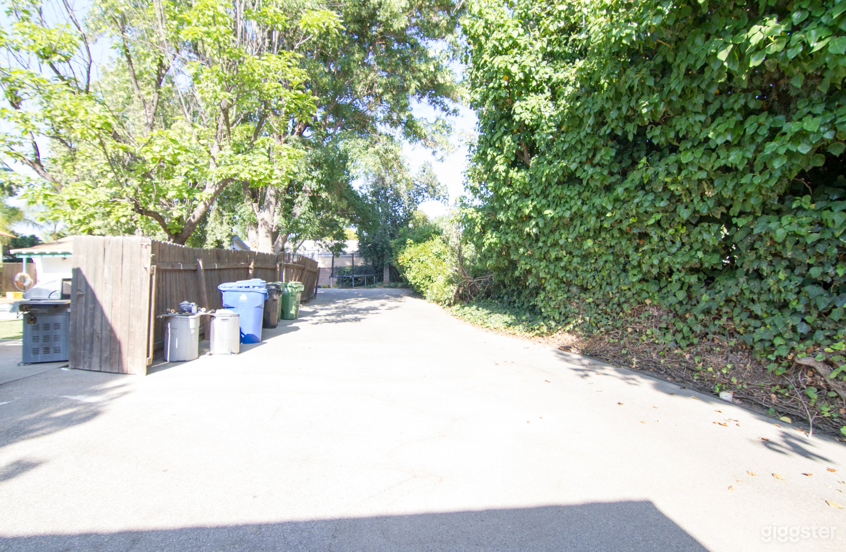 50's Ranch Style with Pool Photo 4