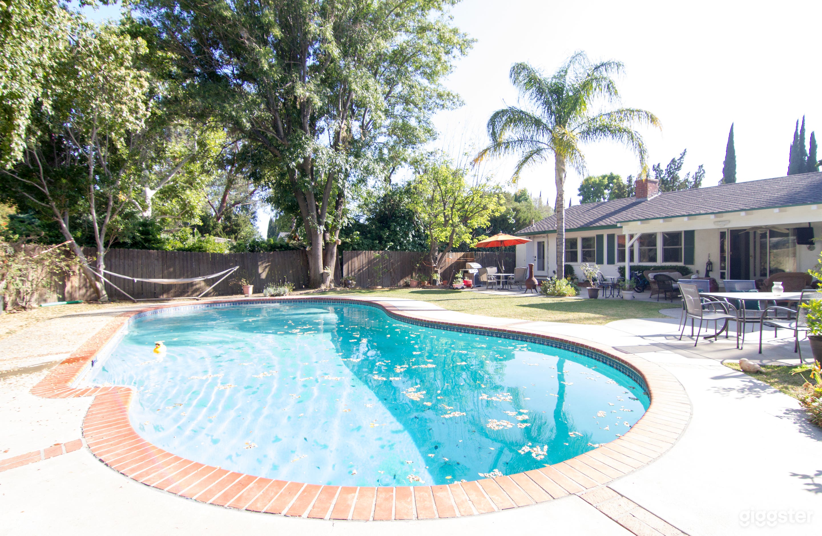 50's Ranch Style with Pool Photo 2