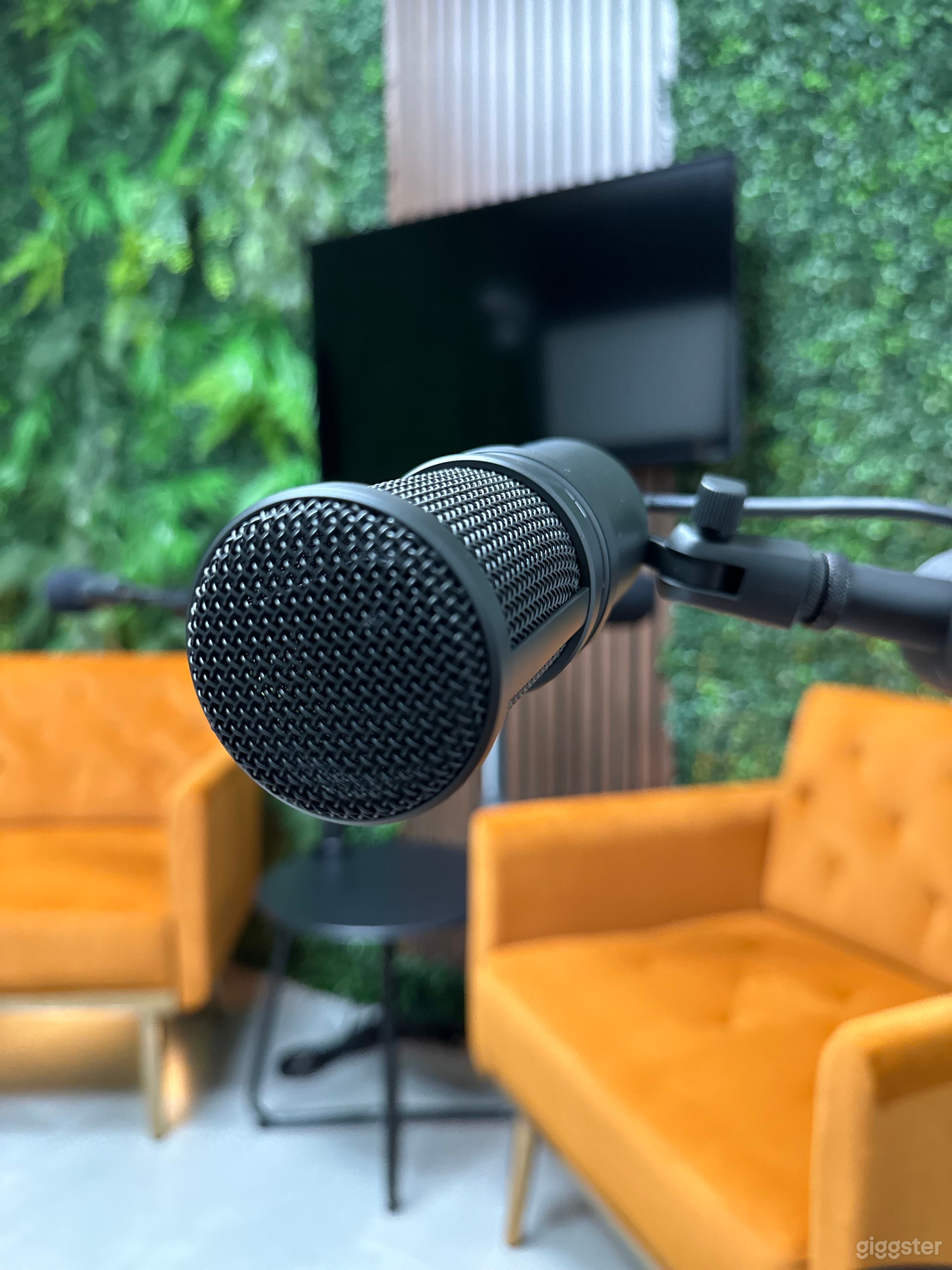 Downtown Hollywood FL Podcast &amp; Content Studio Photo 3