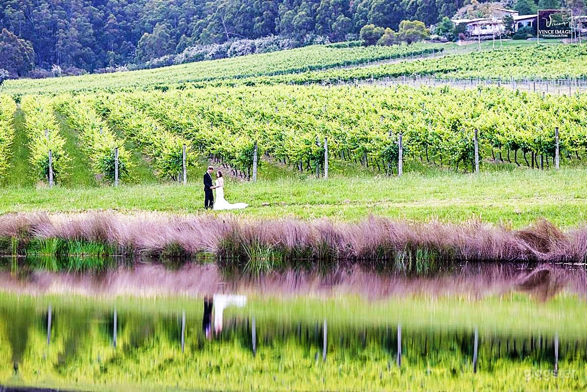 120-acre Vineyard for Photoshoot and Filming Photo 3