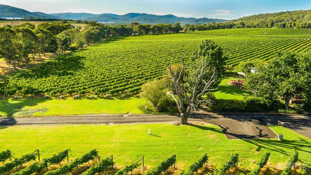 120-acre Vineyard for Photoshoot and Filming Photo 1